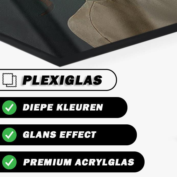 Schilderij op plexiglas - moderne wanddecoratie met glans