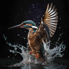 wandkleed ijsvogel