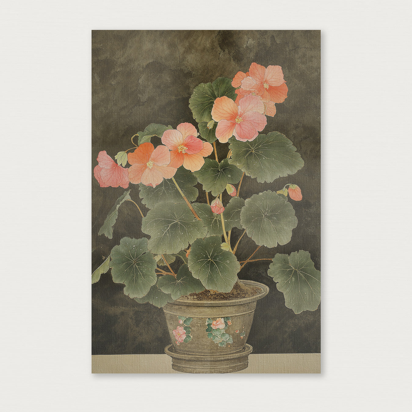 Begonia · Canvas-Poster staand-House of Posters-House of Posters