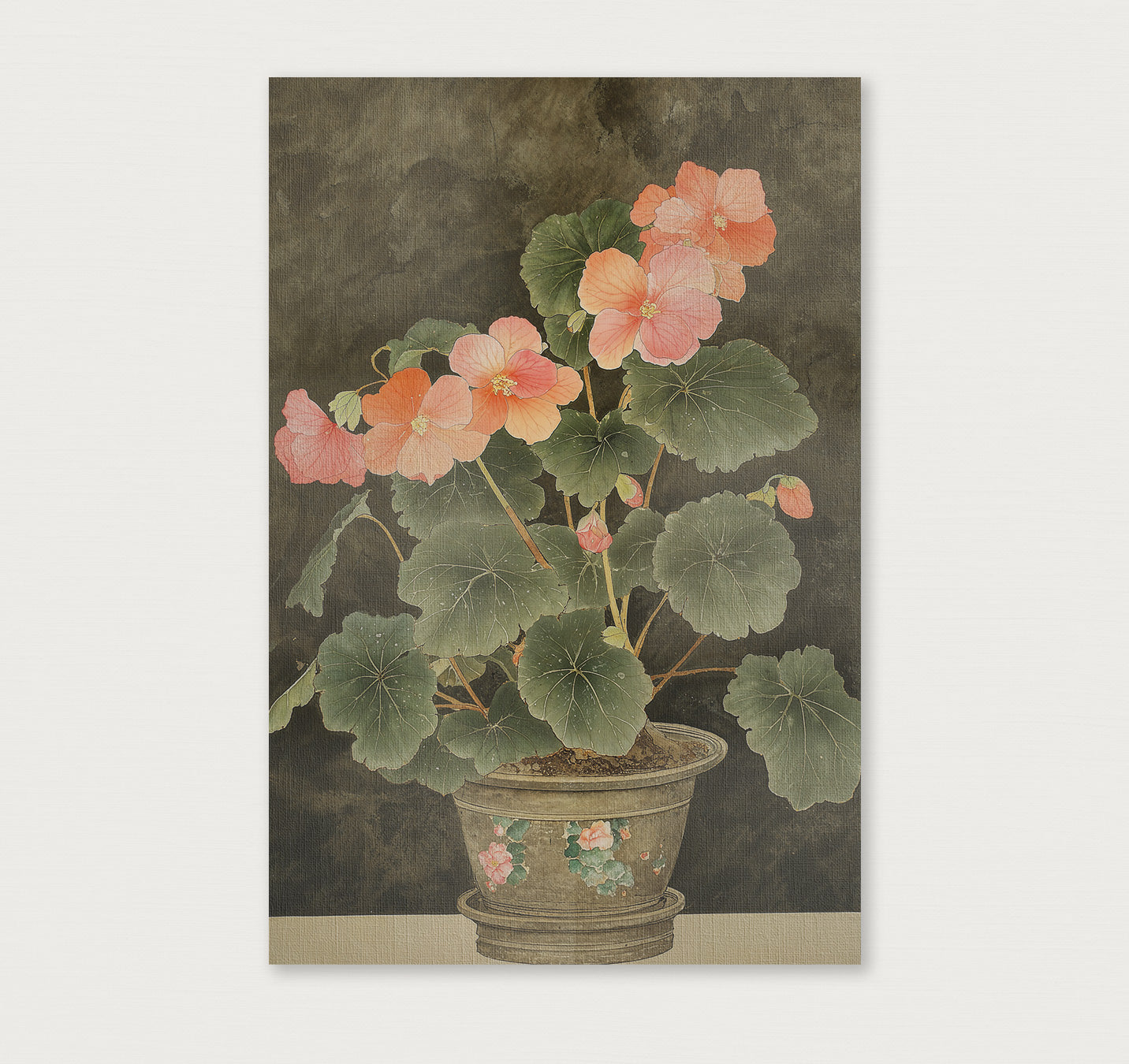 Begonia · Canvas-Poster staand-House of Posters-House of Posters