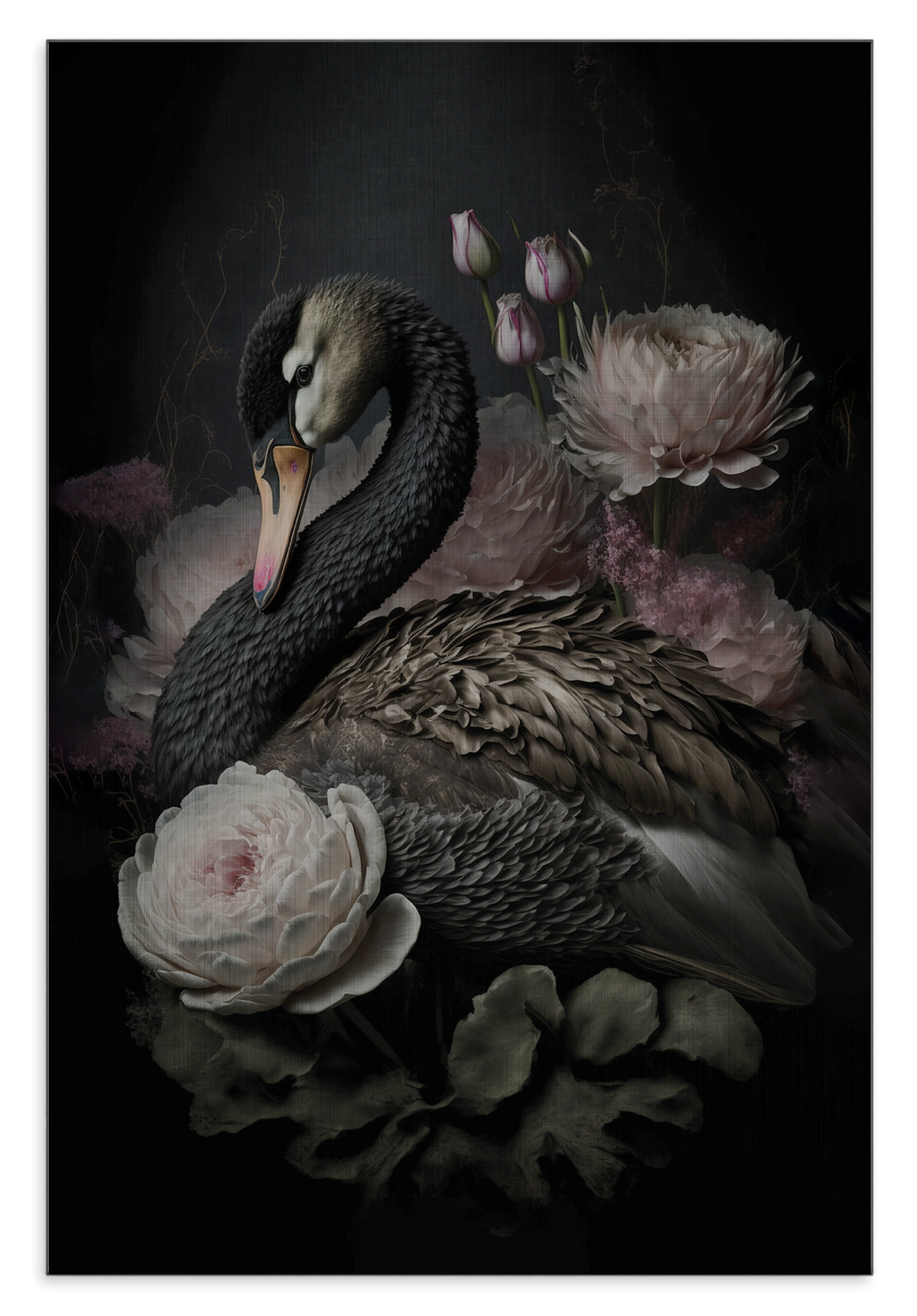 Aluminium Dibond schilderij Zwarte zwaan: zwarte zwaan tussen witte en roze bloemen.