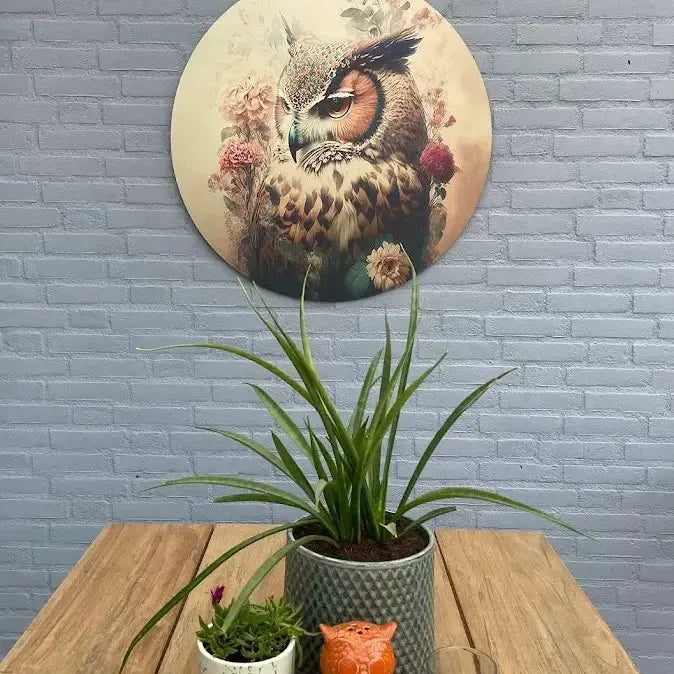 klantfoto muurcirkel met uil