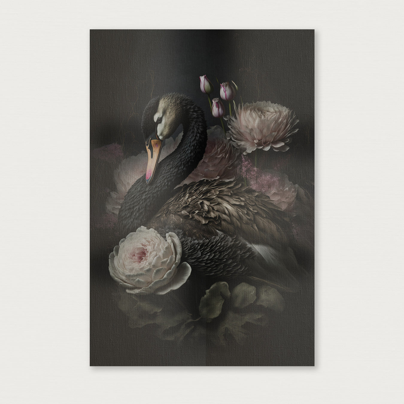 Zwarte zwaan · Canvas-Poster staand-House of Posters-House of Posters