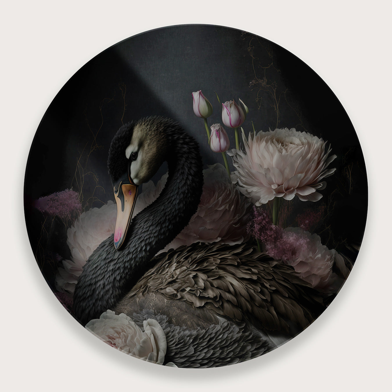 Zwarte zwaan · Plexiglas-Muurcirkel-House of Posters-House of Posters