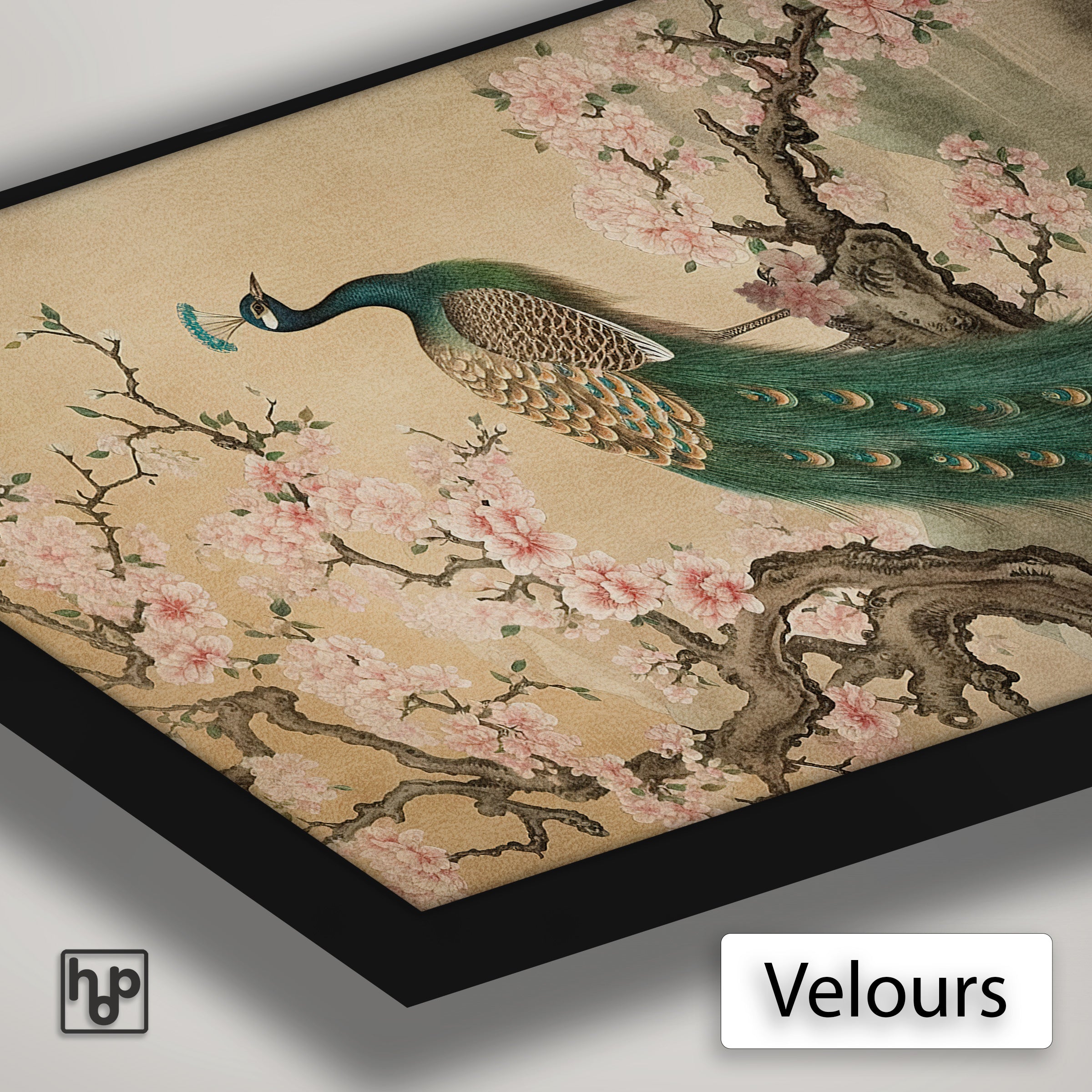 Detail van Artframe Aziatisch Pauw 2 met velours doek en een zwart aluminium frame.