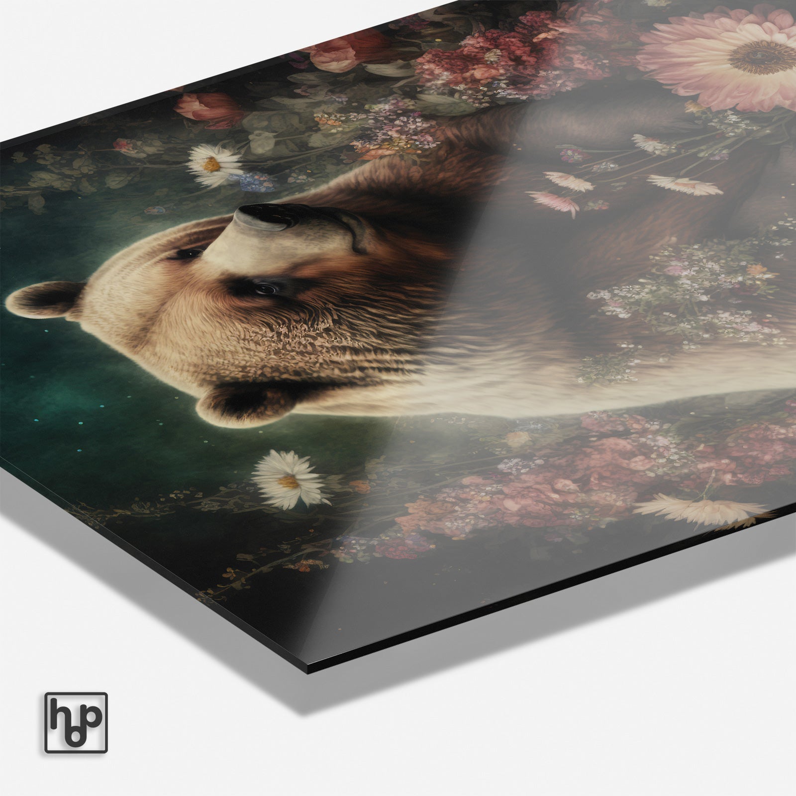 Bear · Plexiglas