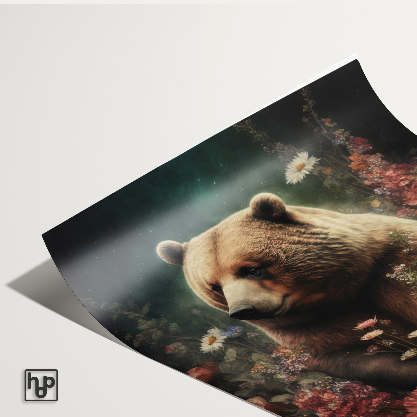 Bear · Papier