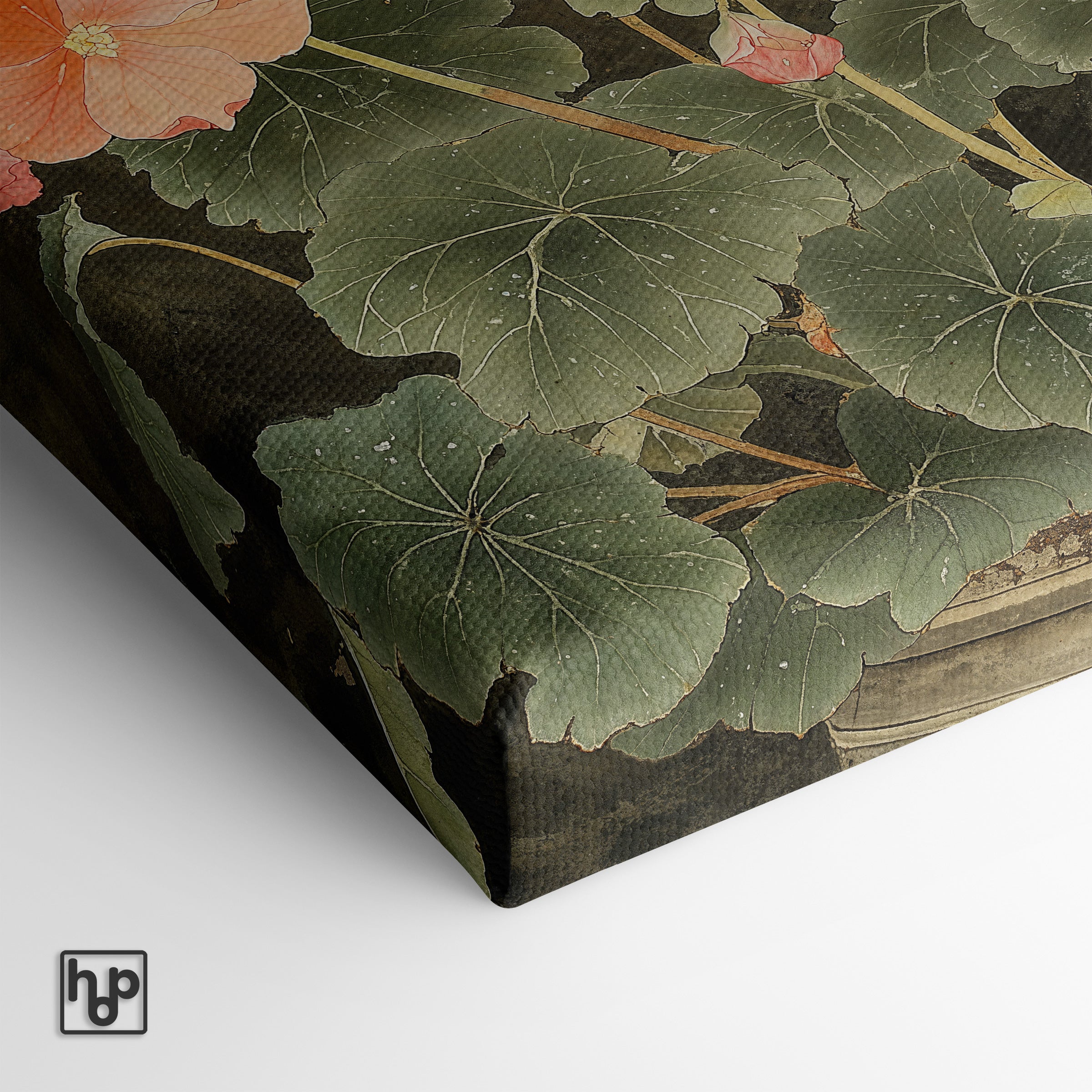 Begonia · Canvas