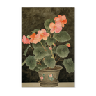 Begonia wanddecoratie