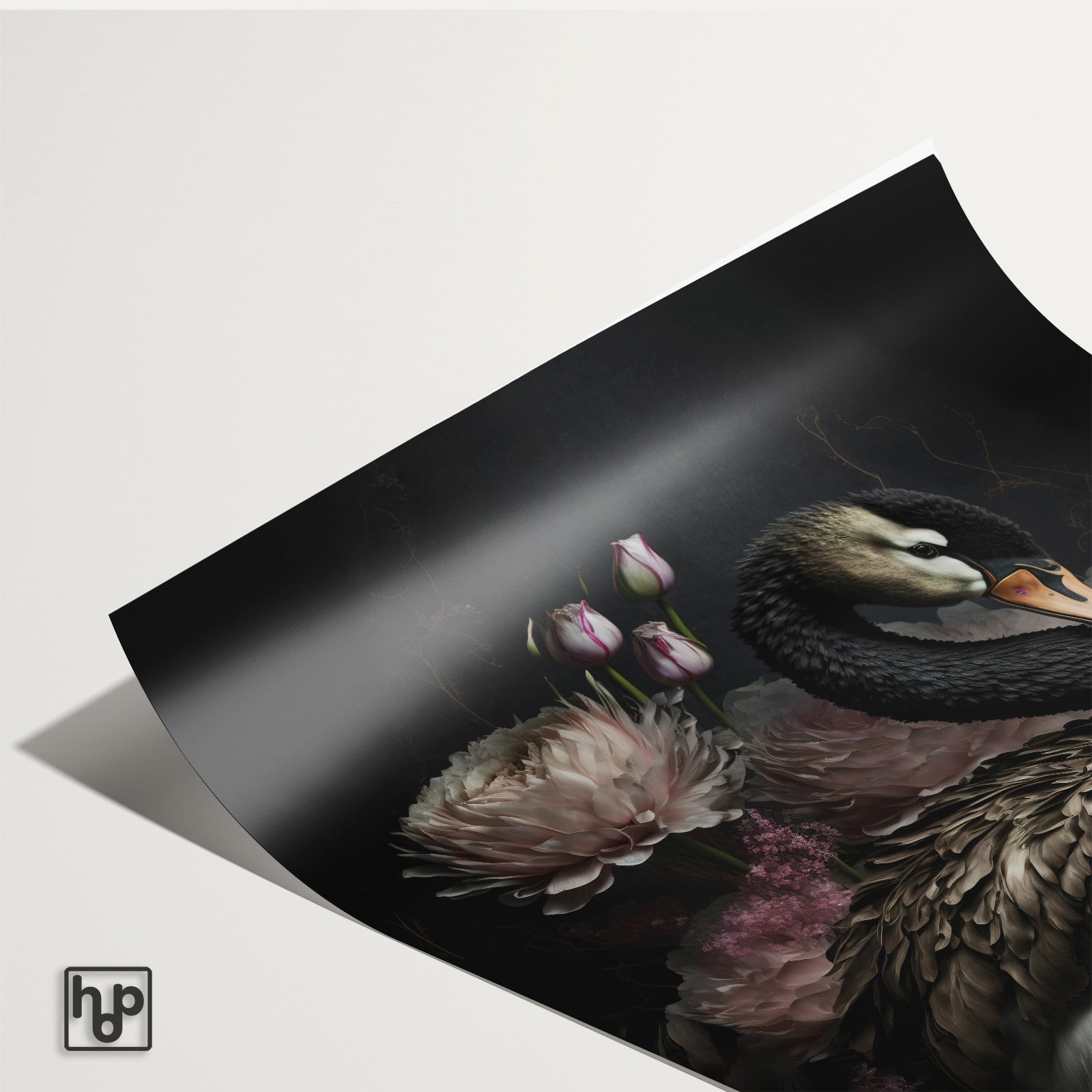 Zwarte zwaan · Papier