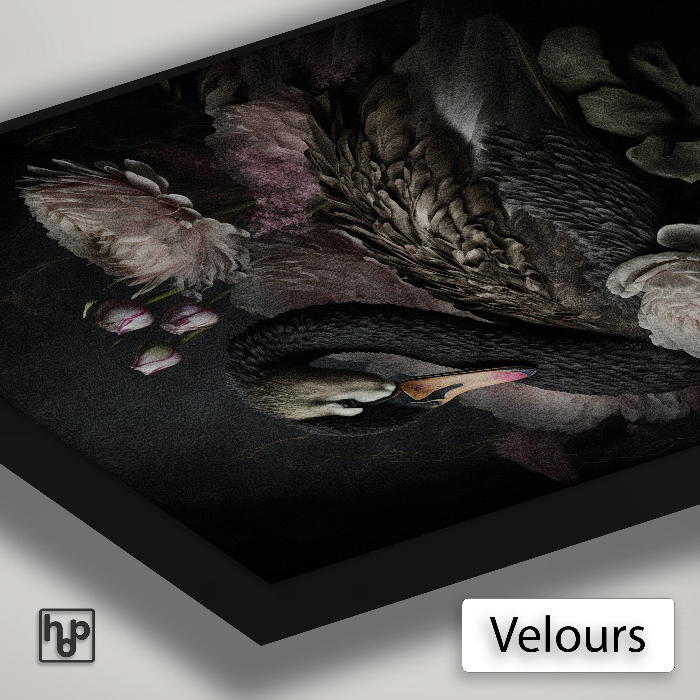 Detail van Artframe Zwarte zwaan met velours doek en een zwart aluminium frame.