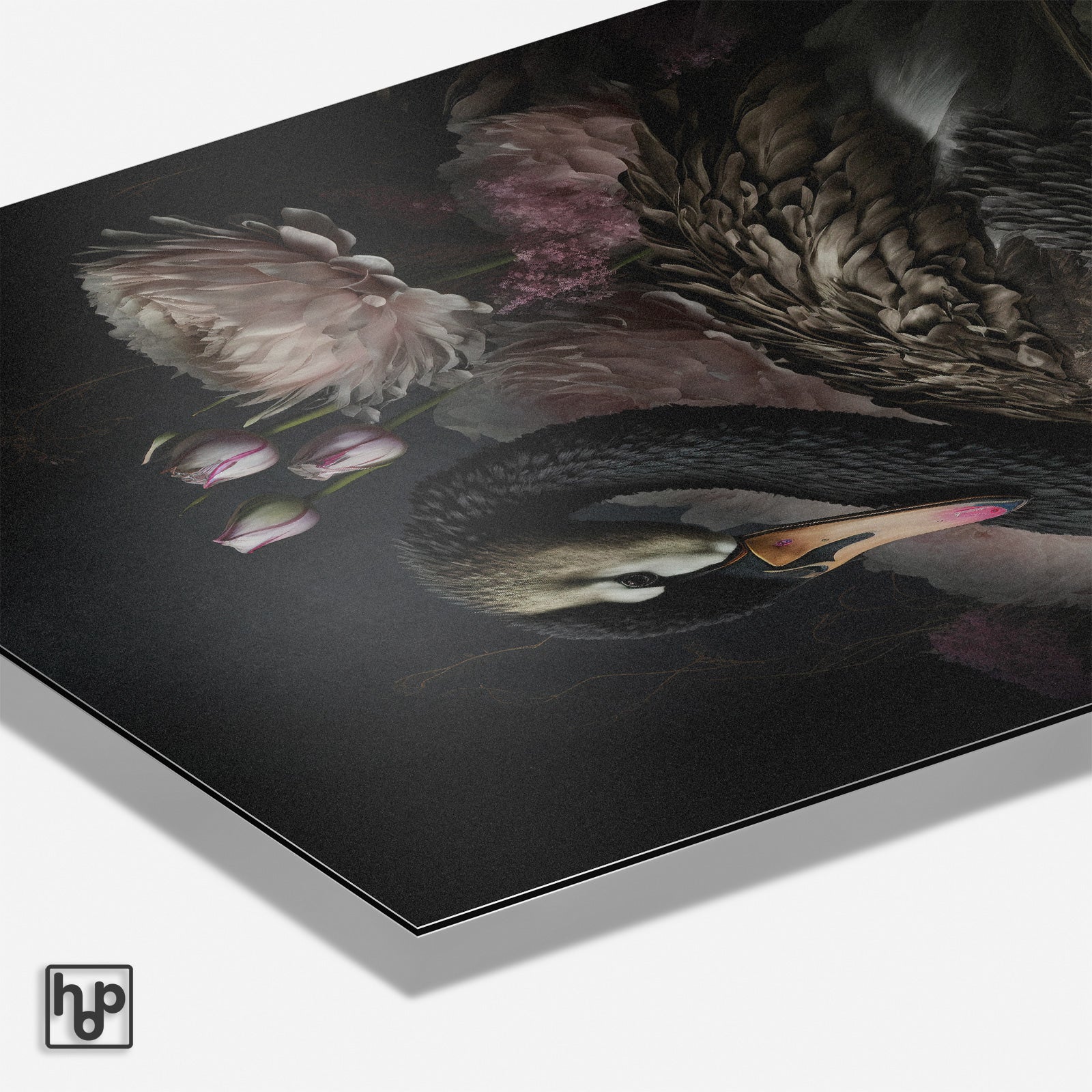 Zwarte zwaan poster met elegante zwaan, roze pioenrozen en tulpen op donkere achtergrond.
