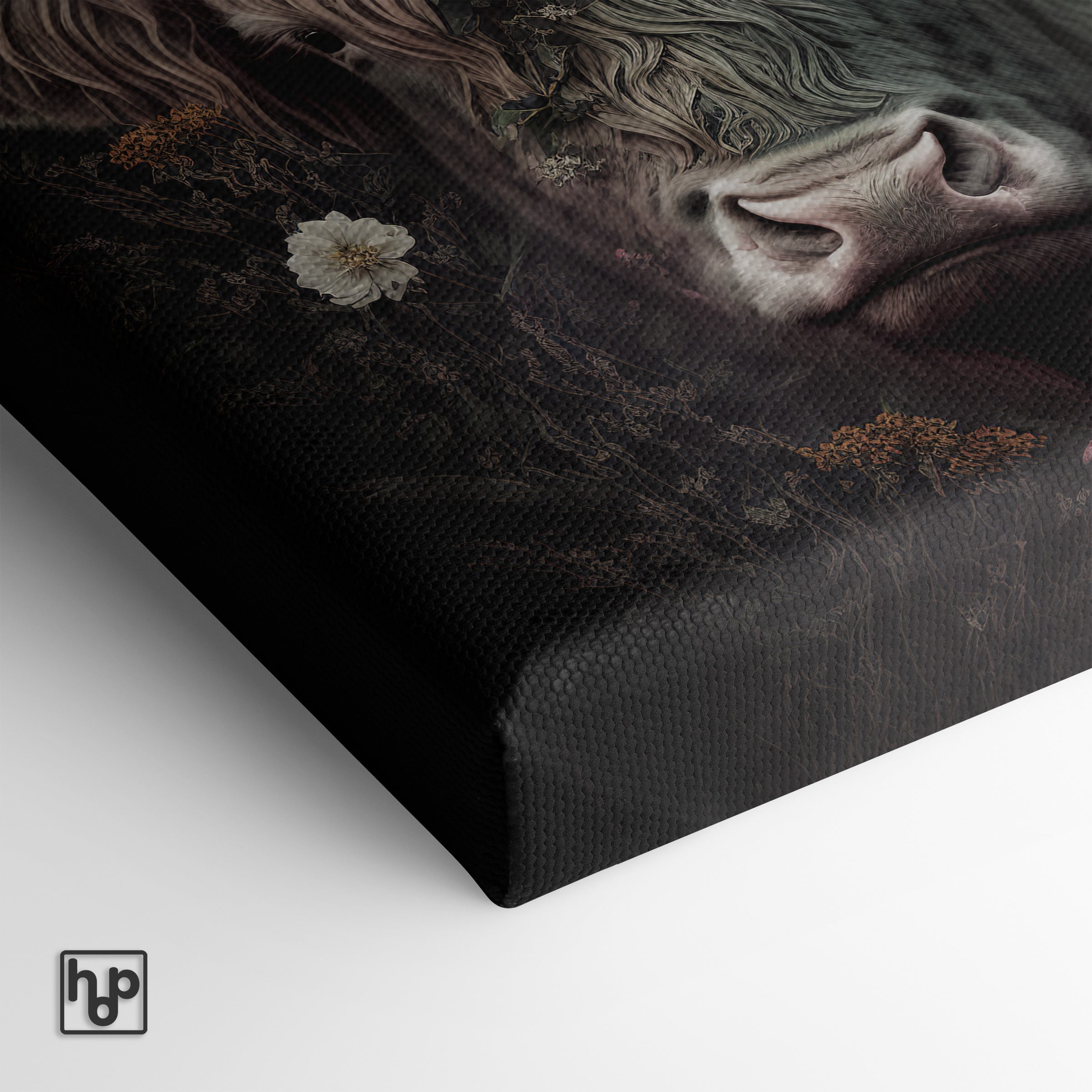 Schotse hooglander · Canvas
