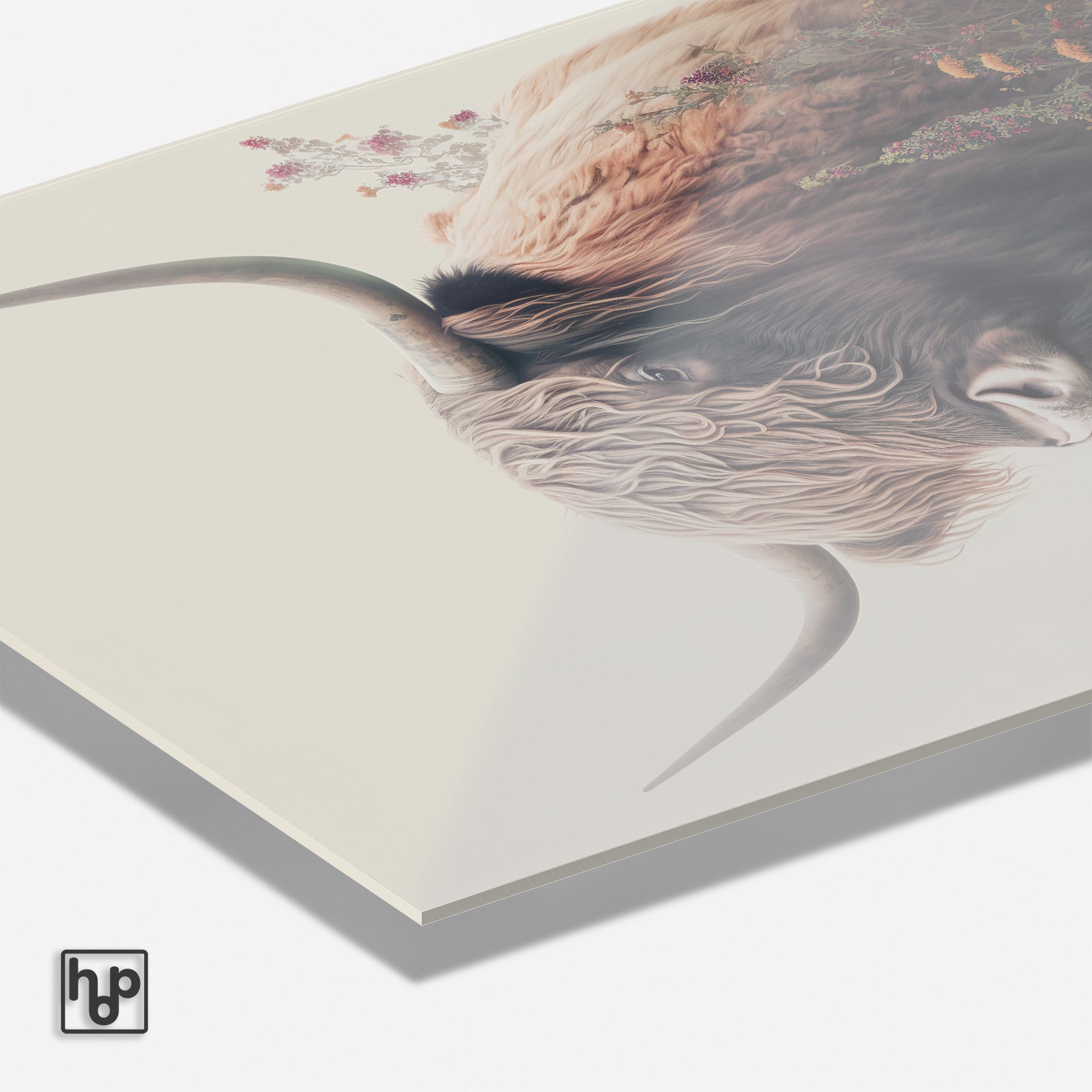 Schotse hooglander 3 · Plexiglas