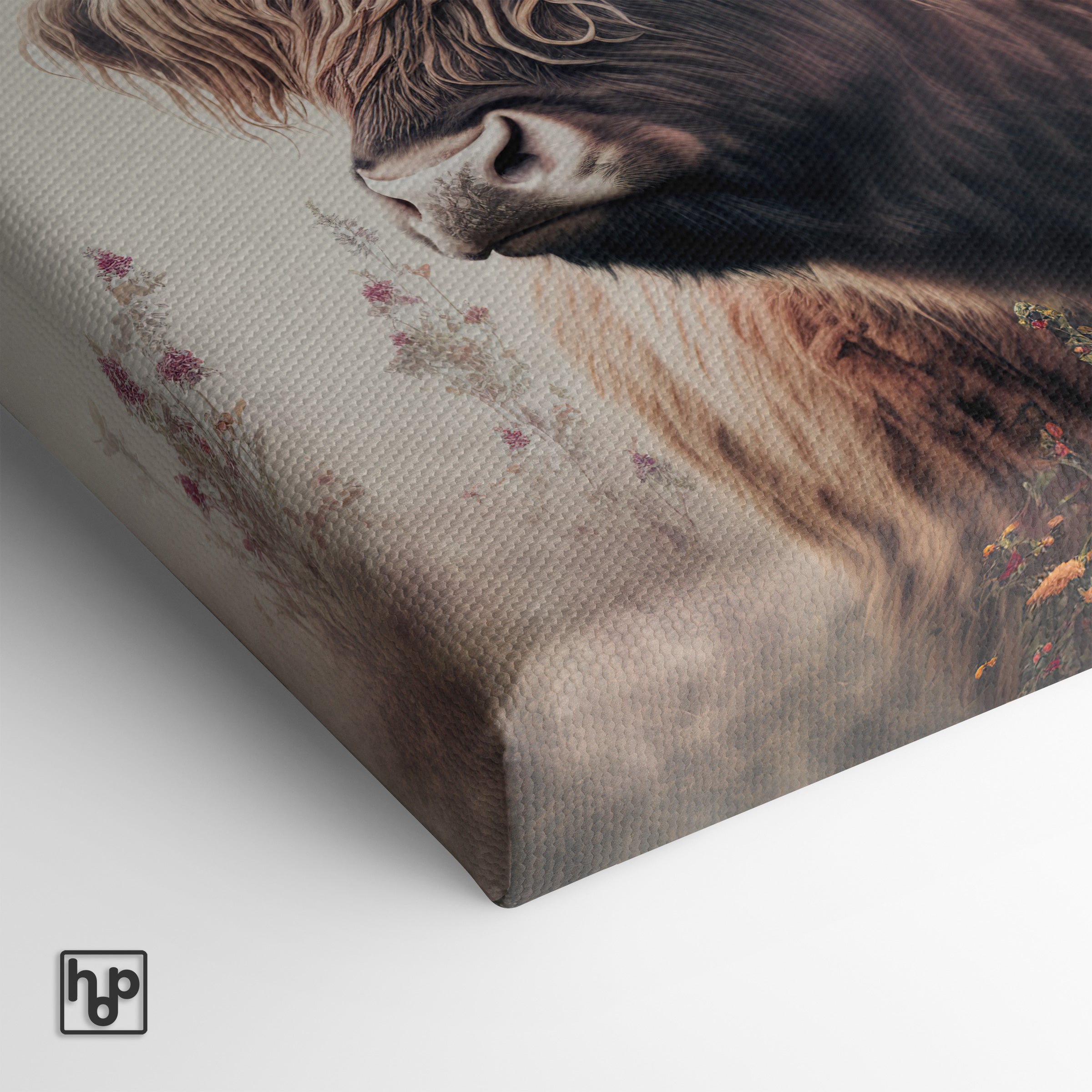 Schotse hooglander 3 · Canvas