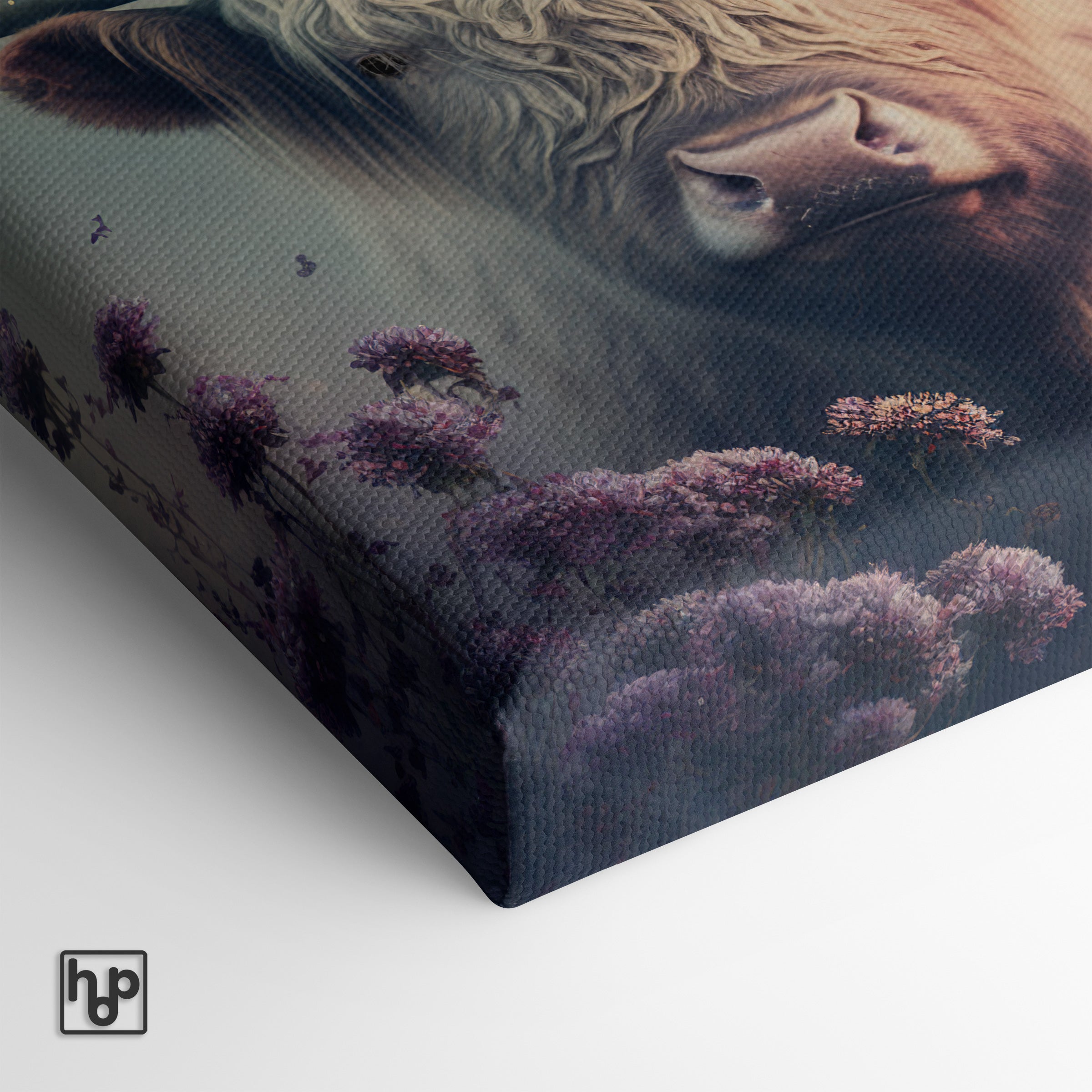 Schotse hooglander 2 · Canvas