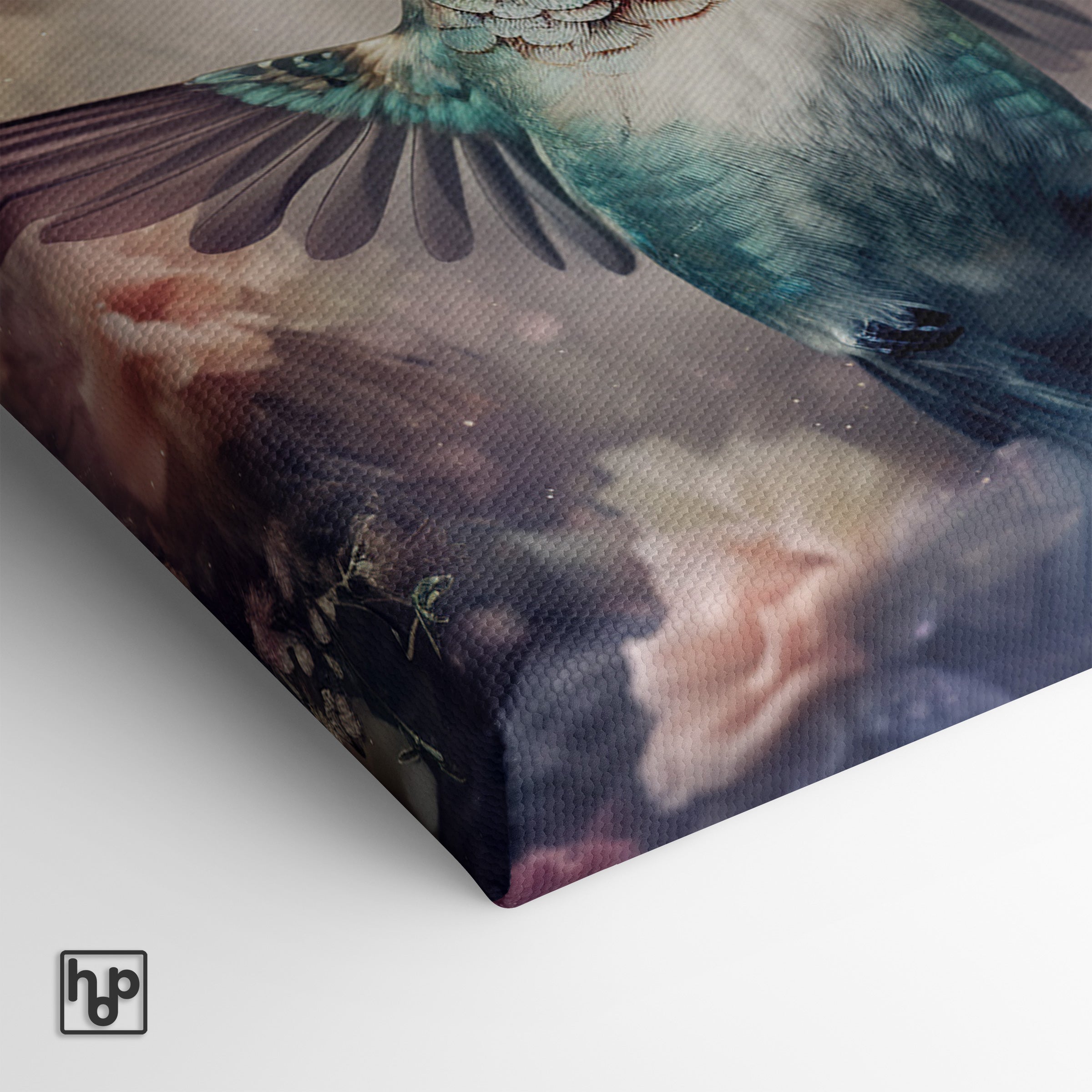 Kolibri · Canvas