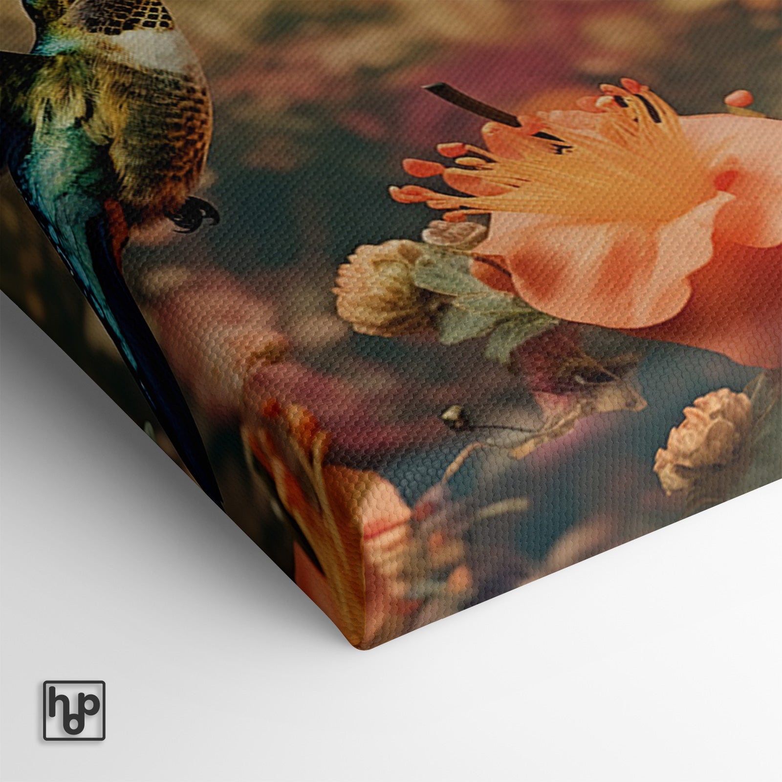 Kolibries 3 · Canvas