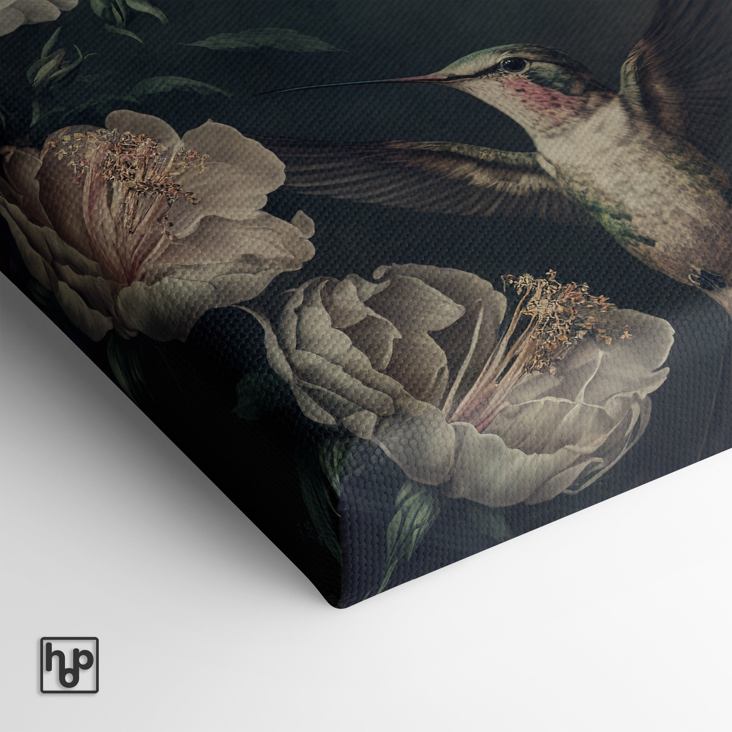 Kolibries · Canvas