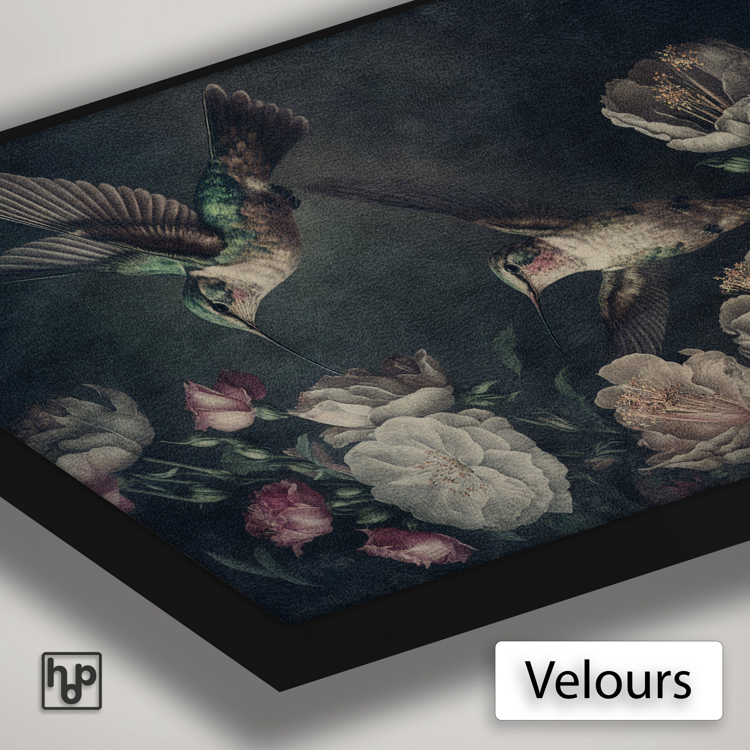 Detail van Artframe Kolibries met velours doek en een zwart aluminium frame.