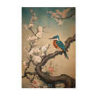 Ijsvogel 9 wanddecoratie