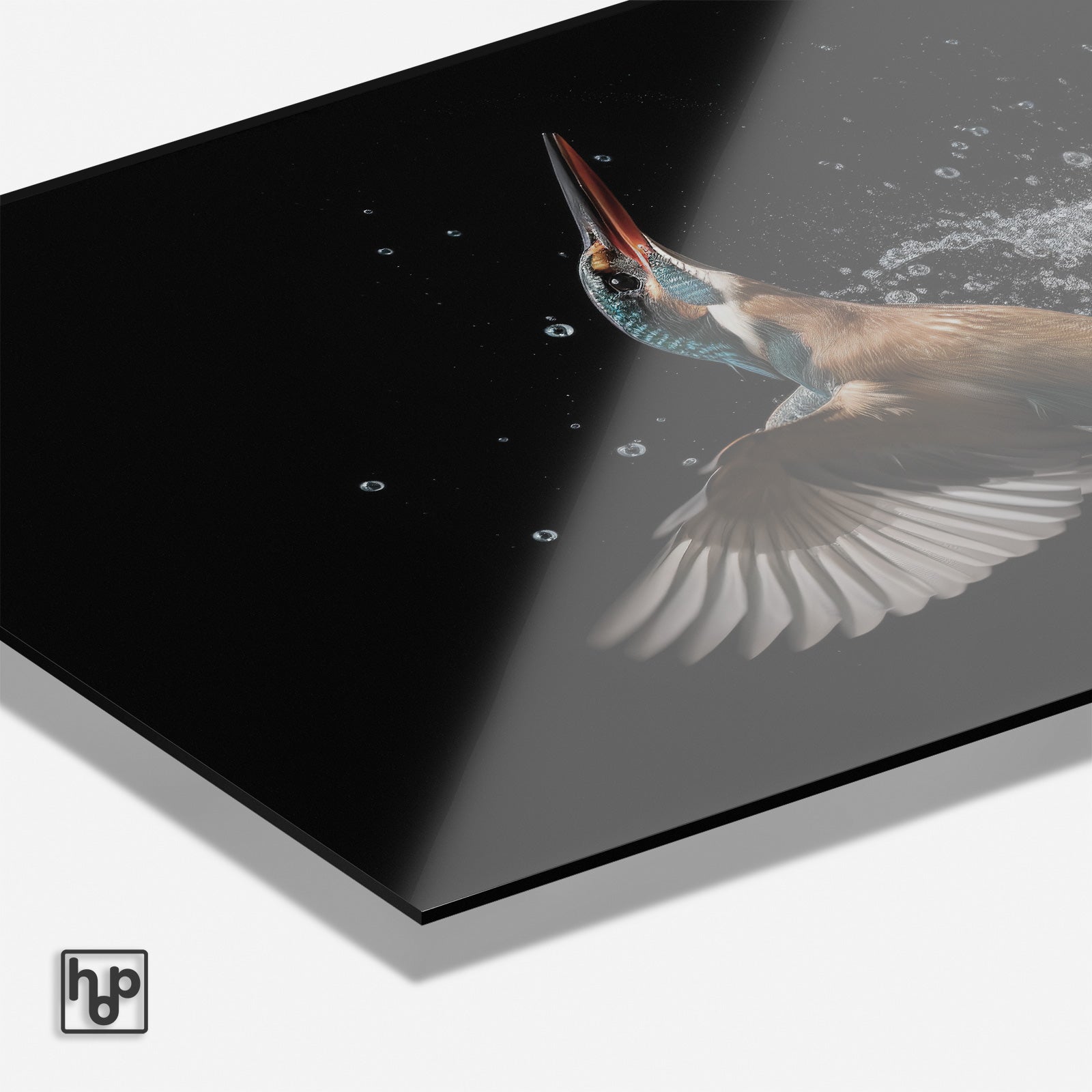 Detail van plexiglas schilderij Ijsvogel 3 met glanzend oppervlak en zichtbare paneelrand.