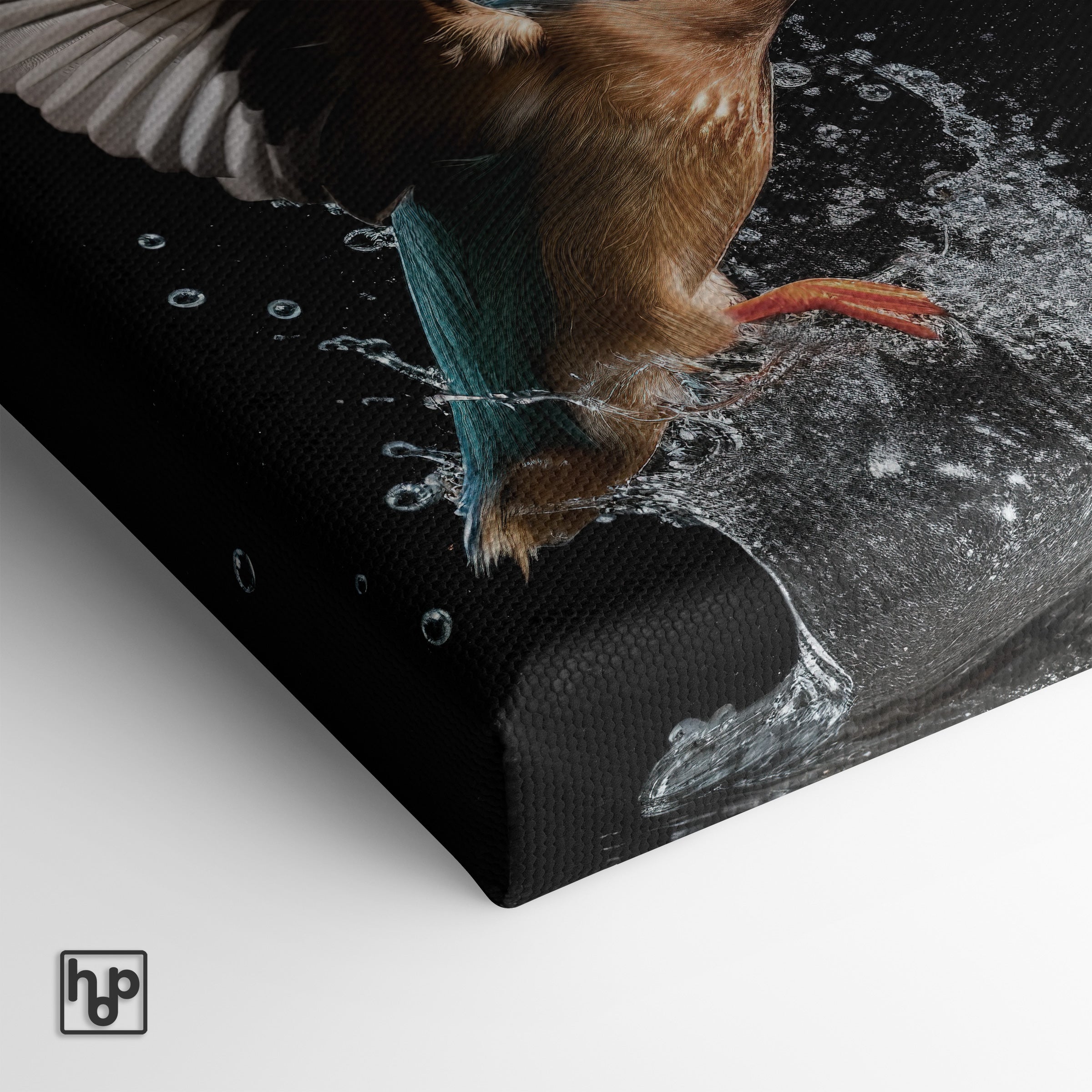 Ijsvogel 3 · Canvas
