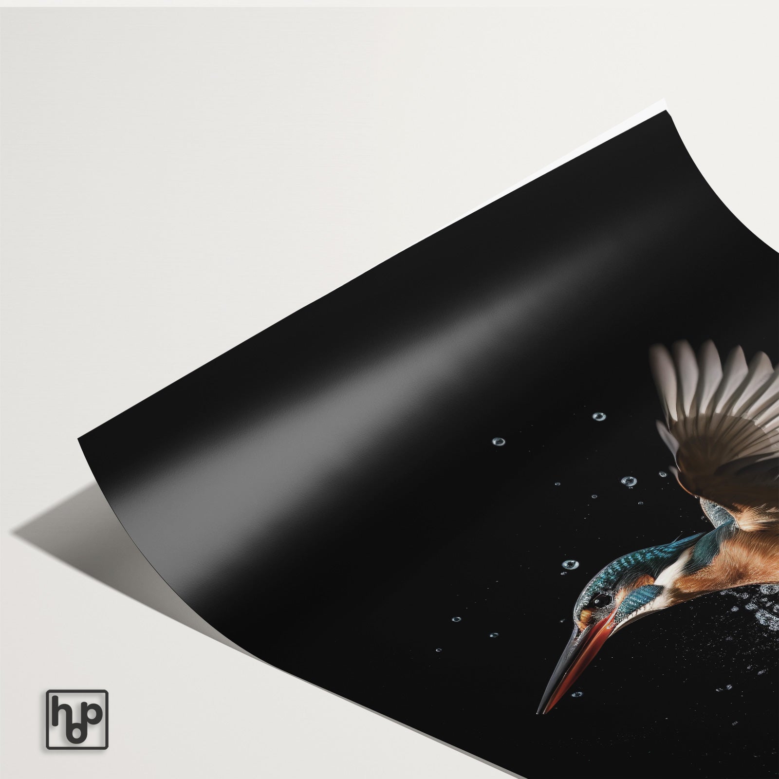 Detail van papieren poster Ijsvogel 3 met een licht omkrullende hoek.