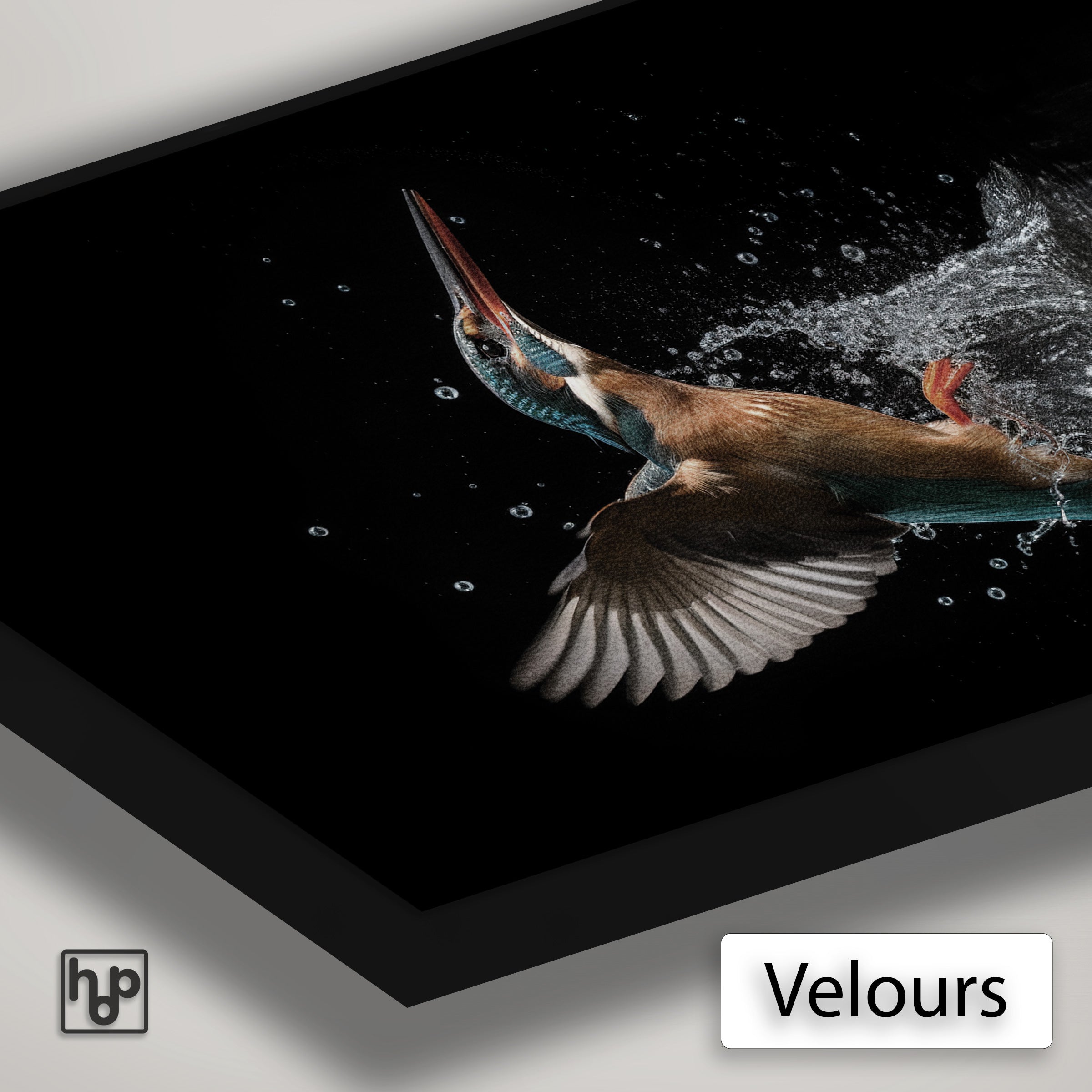 Detail van Artframe Ijsvogel 3 met velours doek en een zwart aluminium frame.