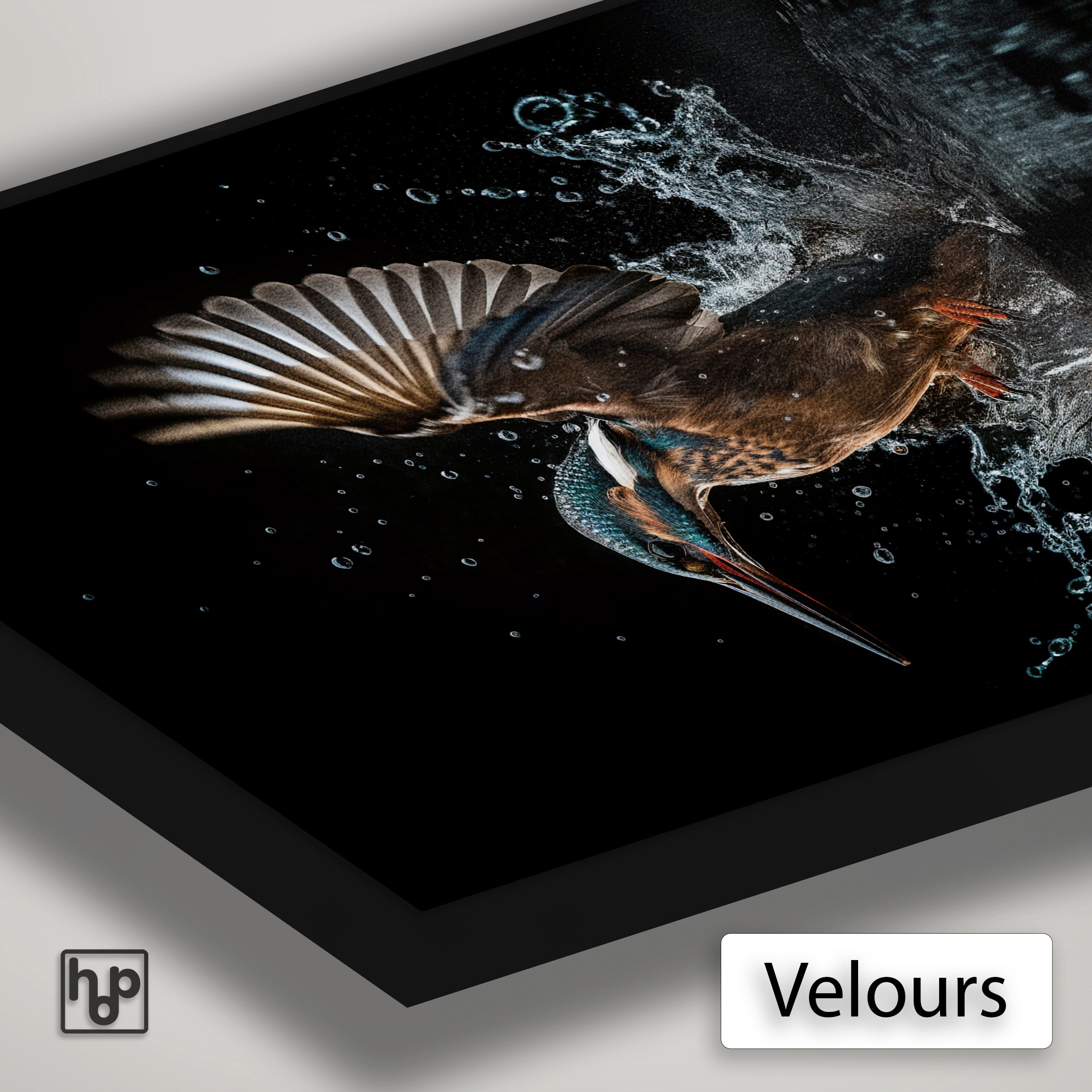 Ijsvogel 4 · Artframe