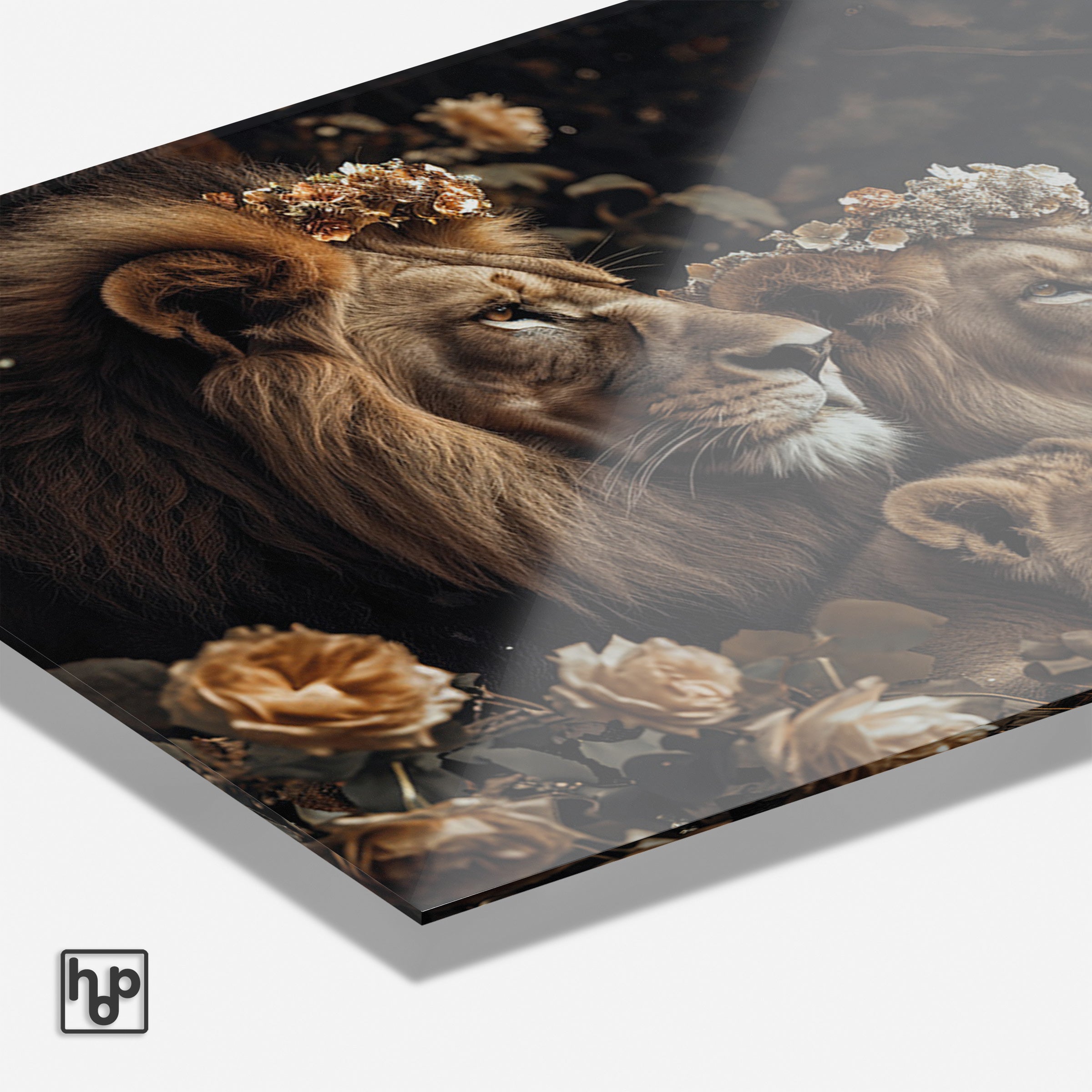 Leeuwen familie · Plexiglas