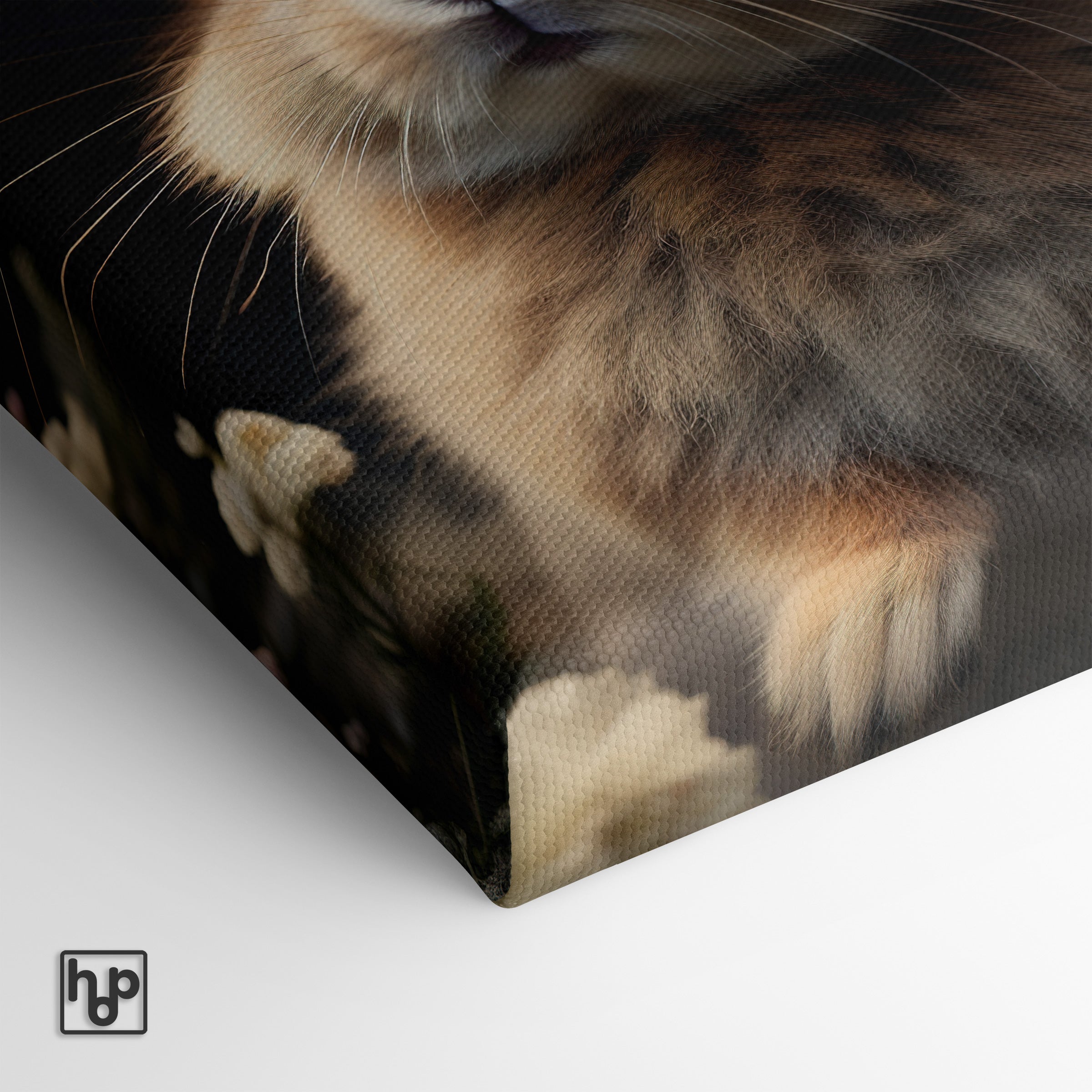 Klein Konijn · Canvas