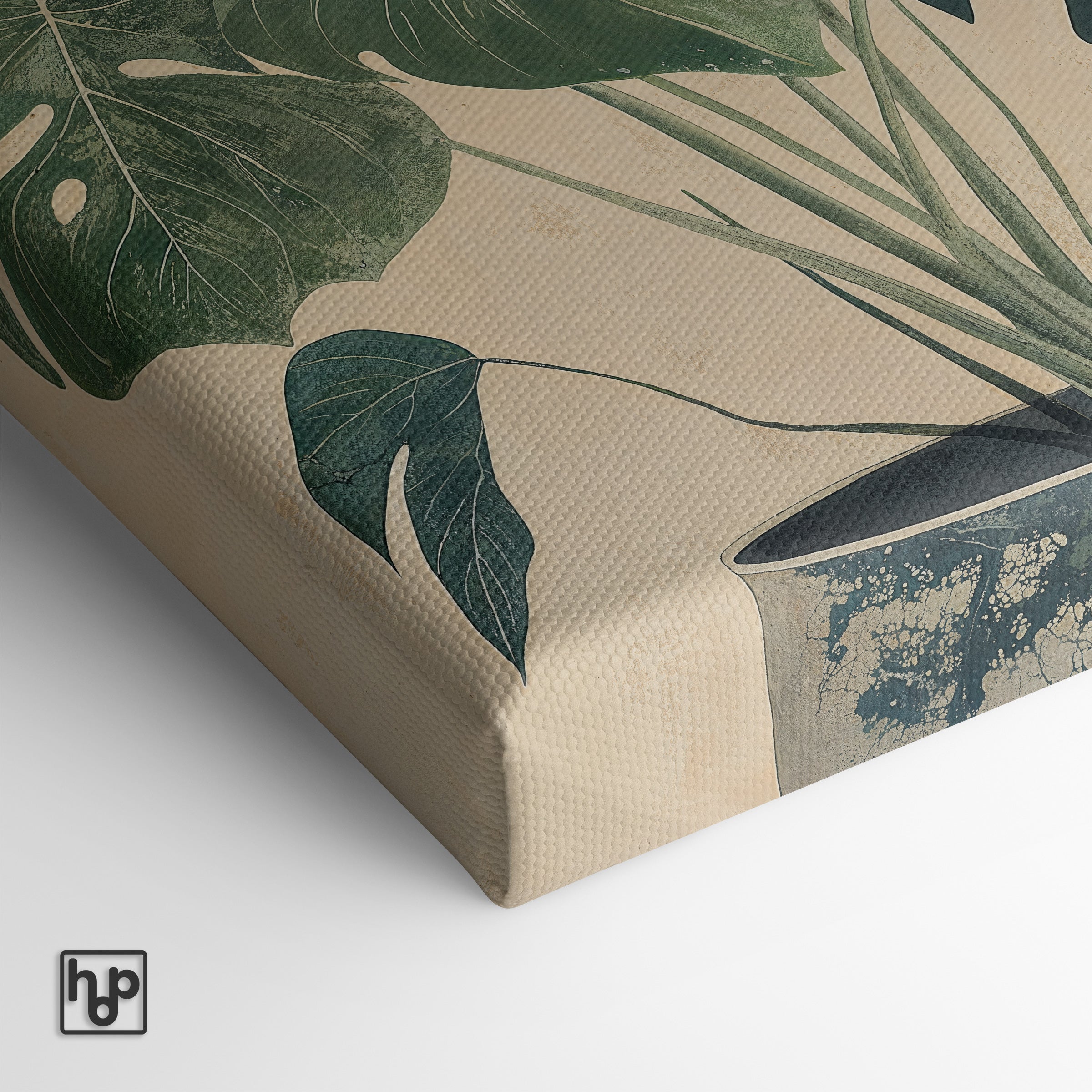 Monstera · Canvas