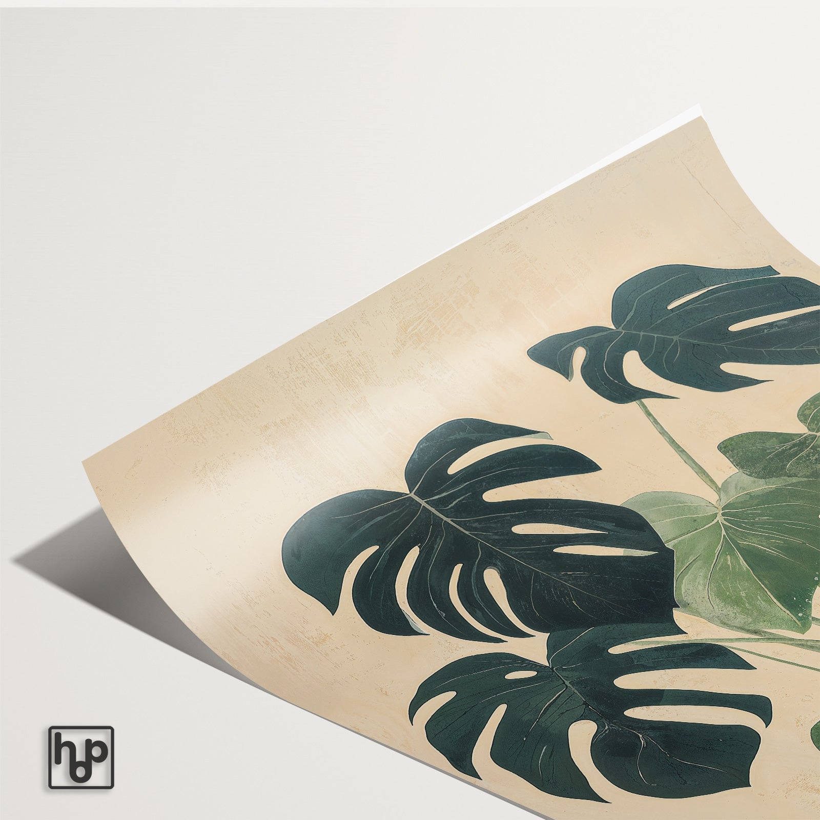 Detail van papieren poster Monstera met een licht omkrullende hoek.