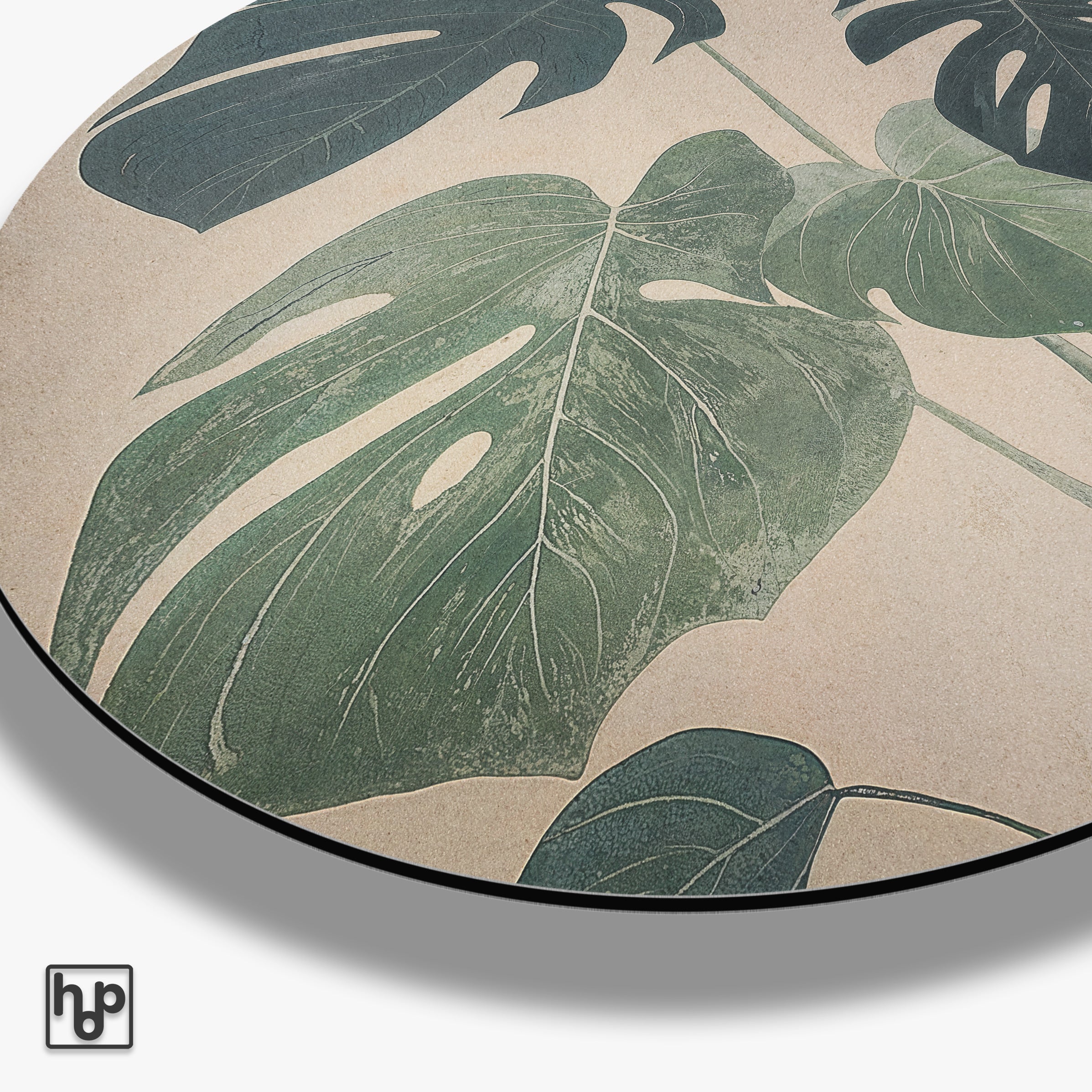 Detail van aluminium muurcirkel Monstera met de ronde paneelrand en matte afwerking.