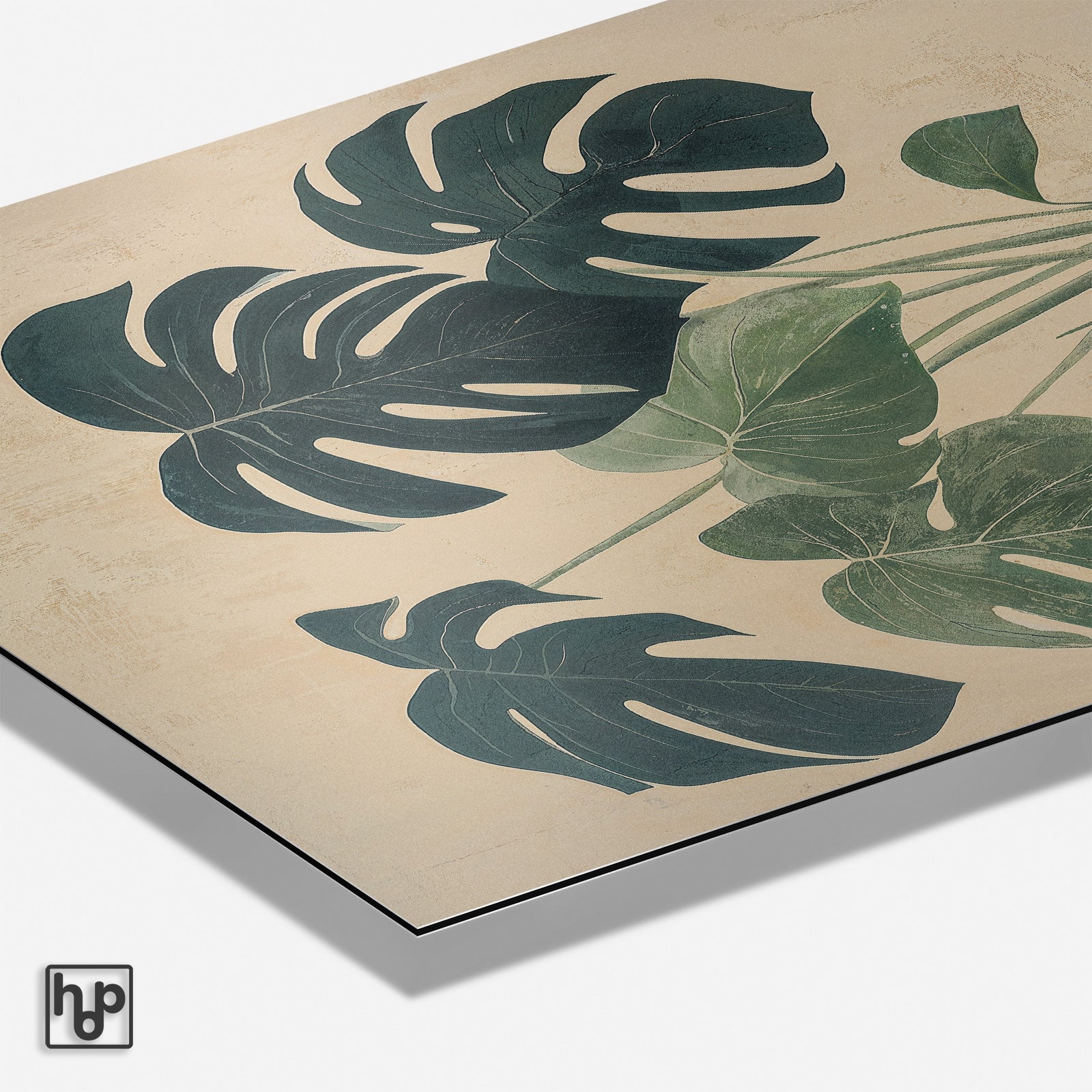 Monstera · Aluminium