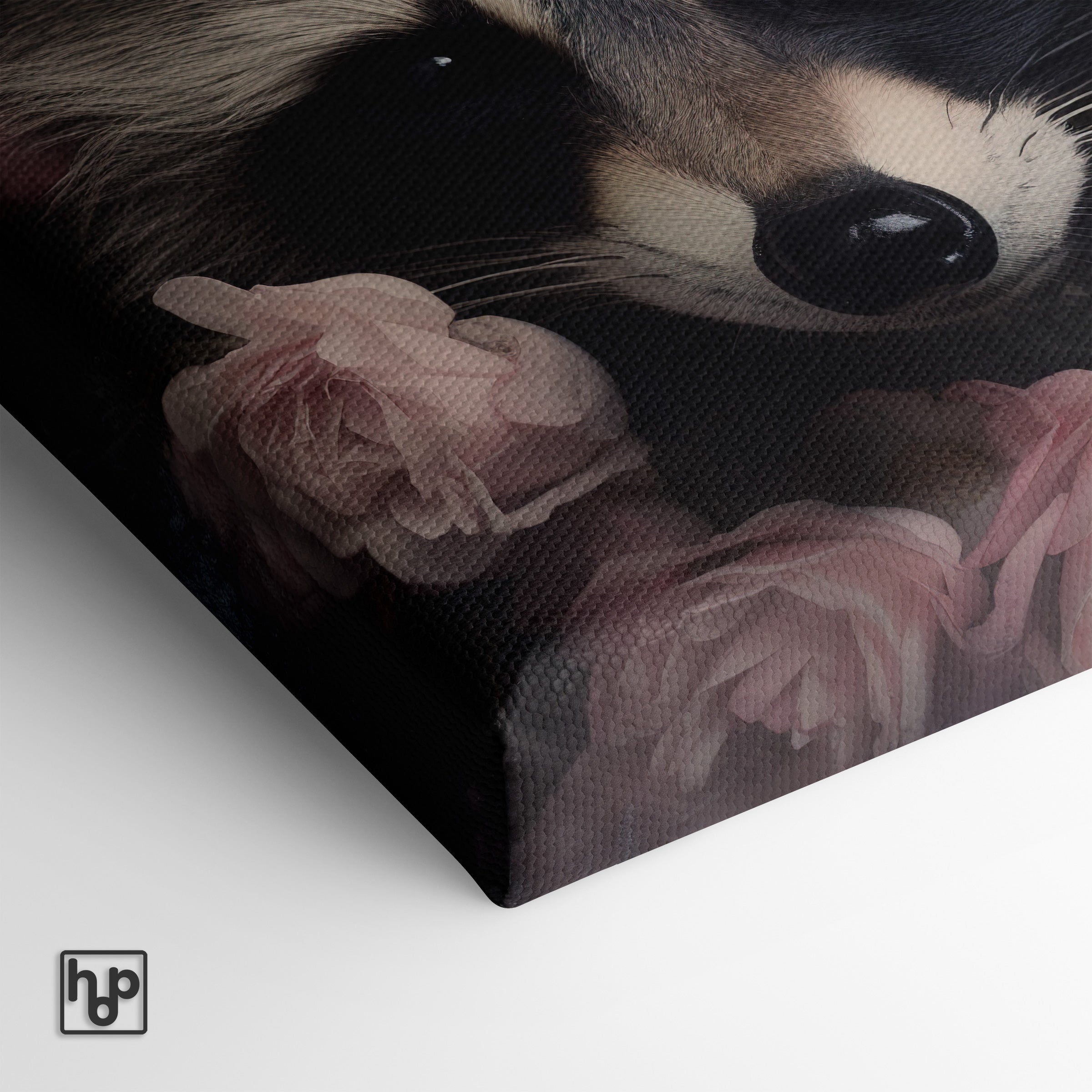 Wasbeer · Canvas