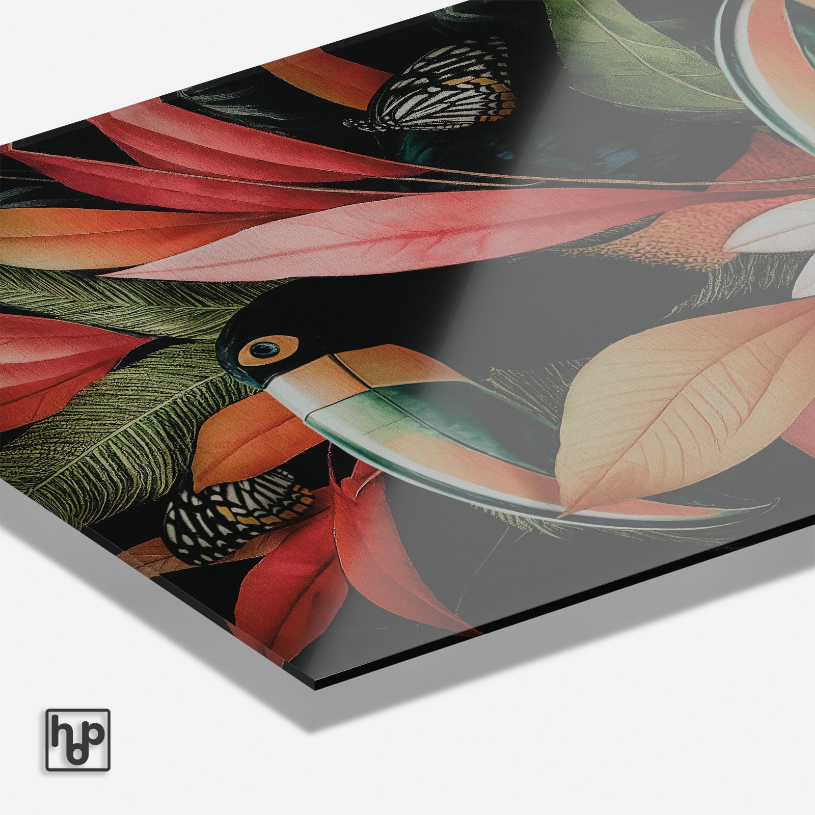 Jungle Toekans · Plexiglas
