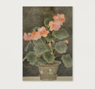 Begonia · Canvas-Poster staand-House of Posters-House of Posters