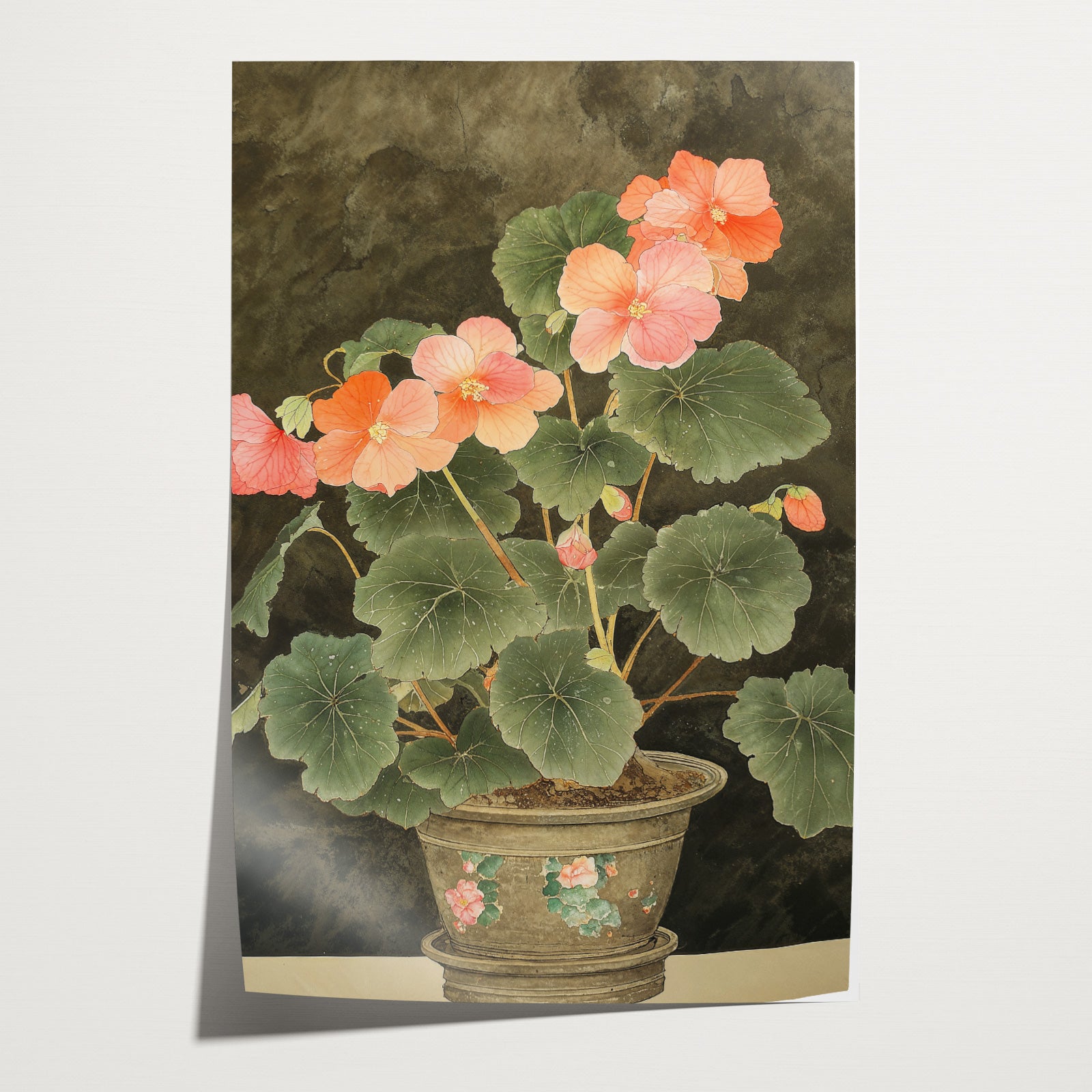Begonia · Papier-Poster staand-House of Posters-House of Posters