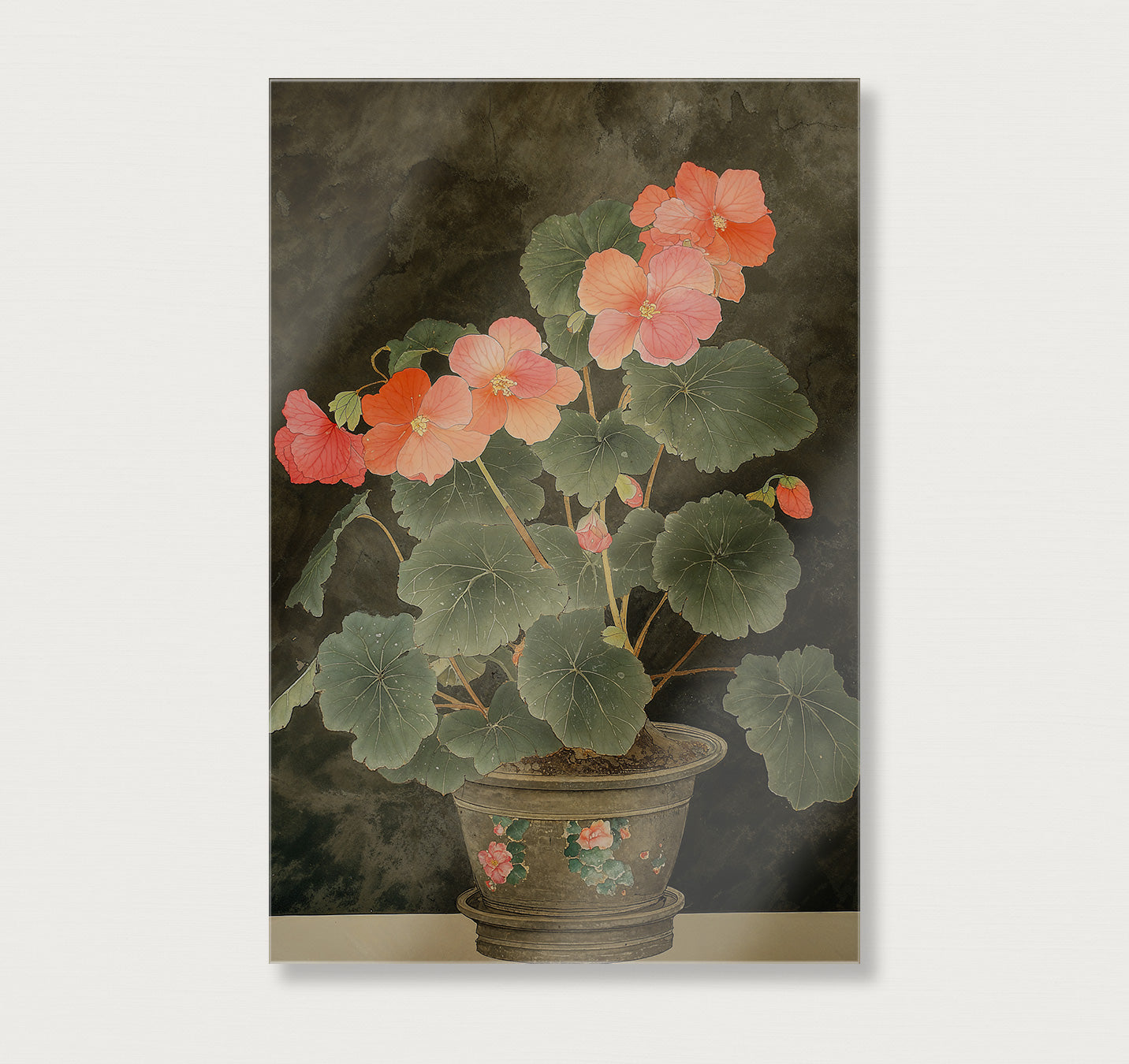 Begonia · Plexiglas-Poster staand-House of Posters-House of Posters