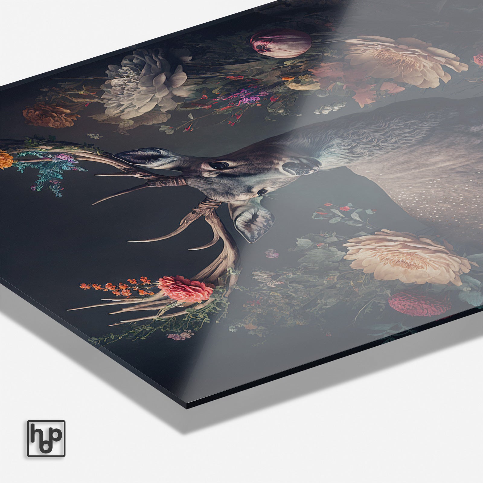 Hert · Plexiglas