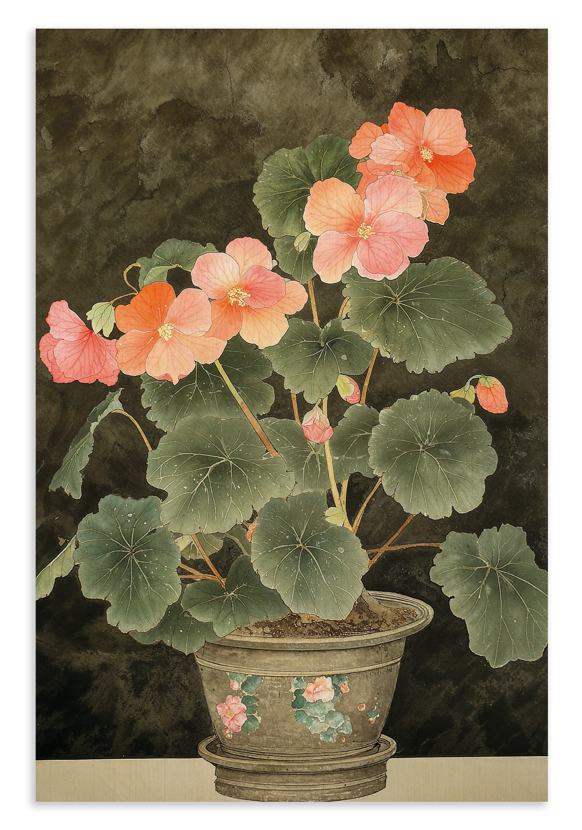 Begonia · Canvas – productfoto