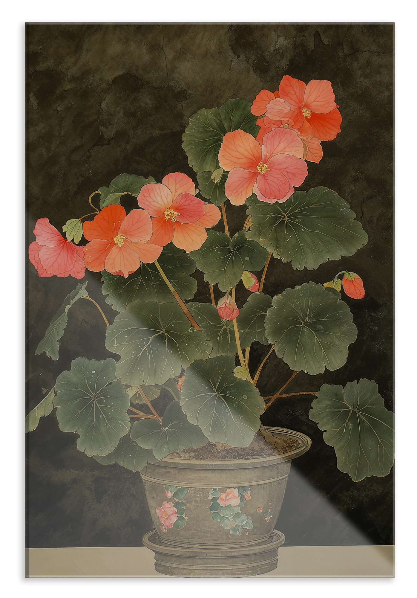 Plexiglas schilderij Begonia: begonia met roze bloemen in een sierpot.