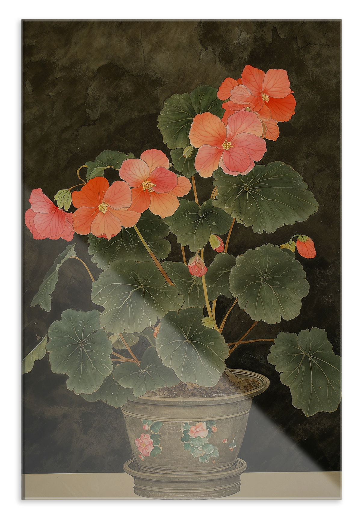 Plexiglas schilderij Begonia: begonia met roze bloemen in een sierpot.