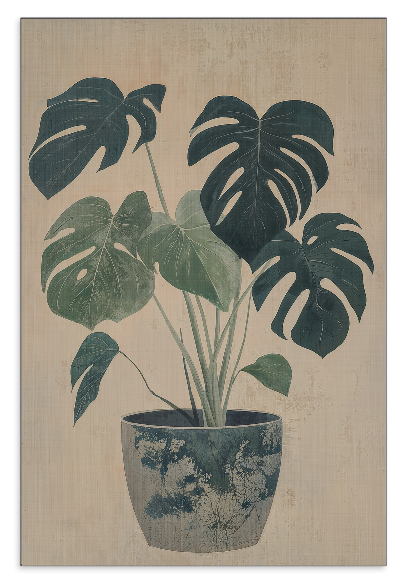 Aluminium Dibond schilderij Monstera: monstera met groene bladeren in een blauw-witte sierpot.