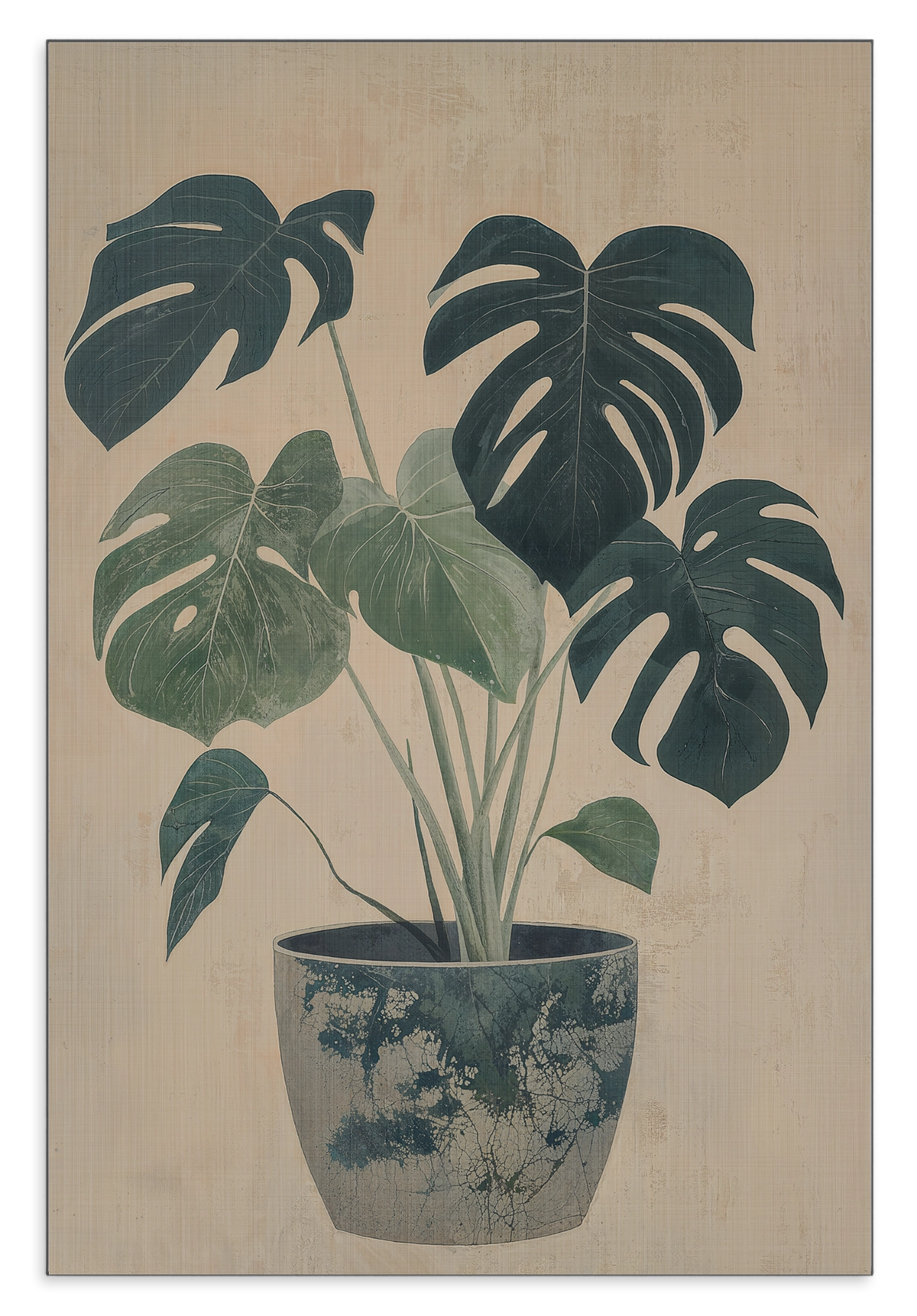 Aluminium Dibond schilderij Monstera: monstera met groene bladeren in een blauw-witte sierpot.