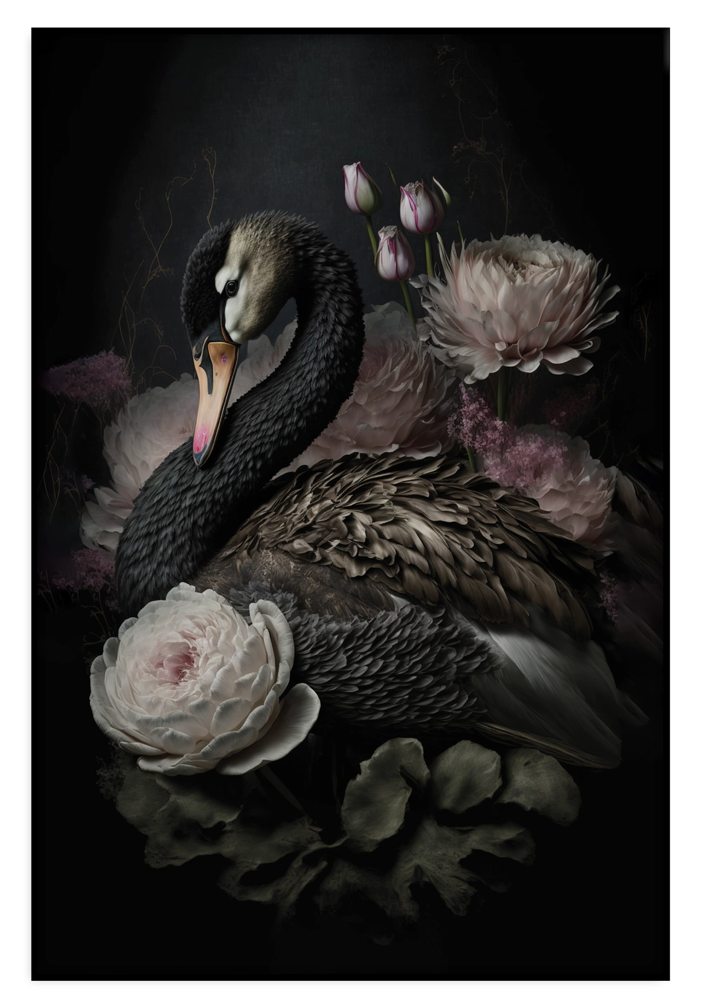 Artframe Zwarte zwaan: zwarte zwaan tussen witte en roze bloemen.