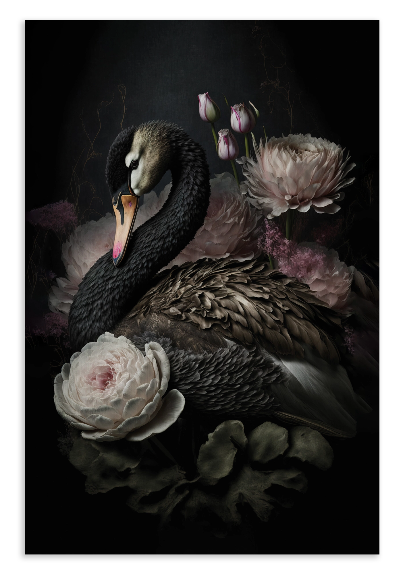 Canvas schilderij Zwarte zwaan: zwarte zwaan tussen witte en roze bloemen.