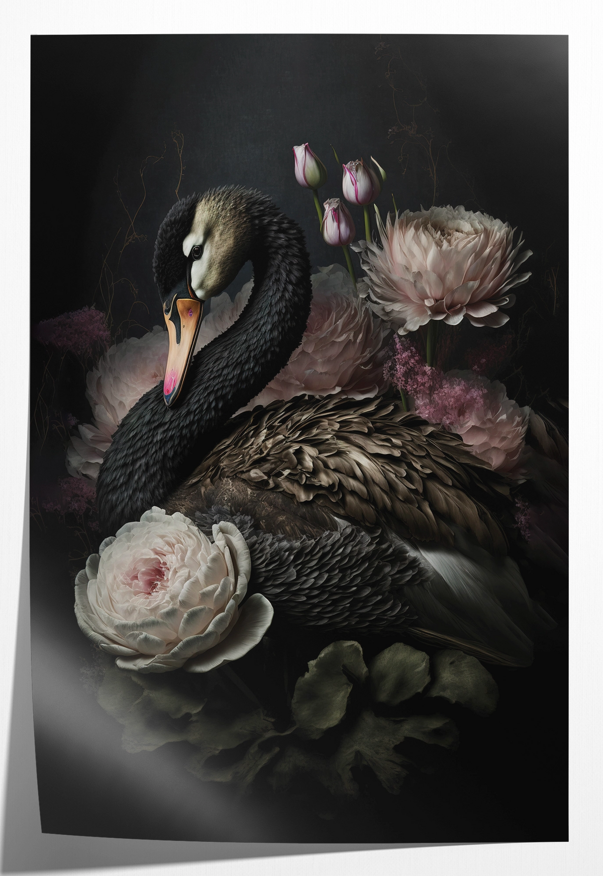 Papieren poster Zwarte zwaan: zwarte zwaan tussen witte en roze bloemen.